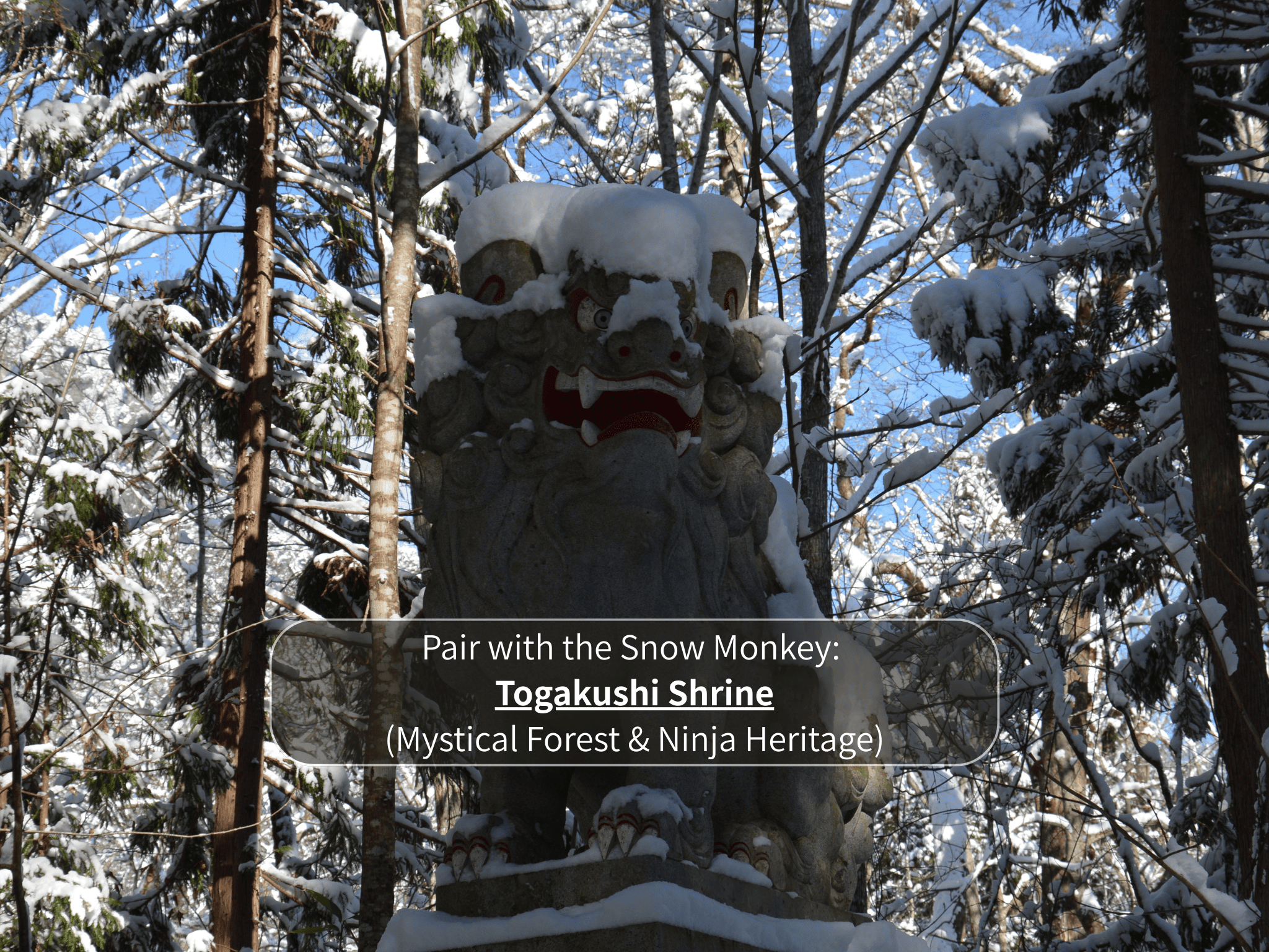 Nagano Snow Monkeys & Hidden Gems Private Day Tour