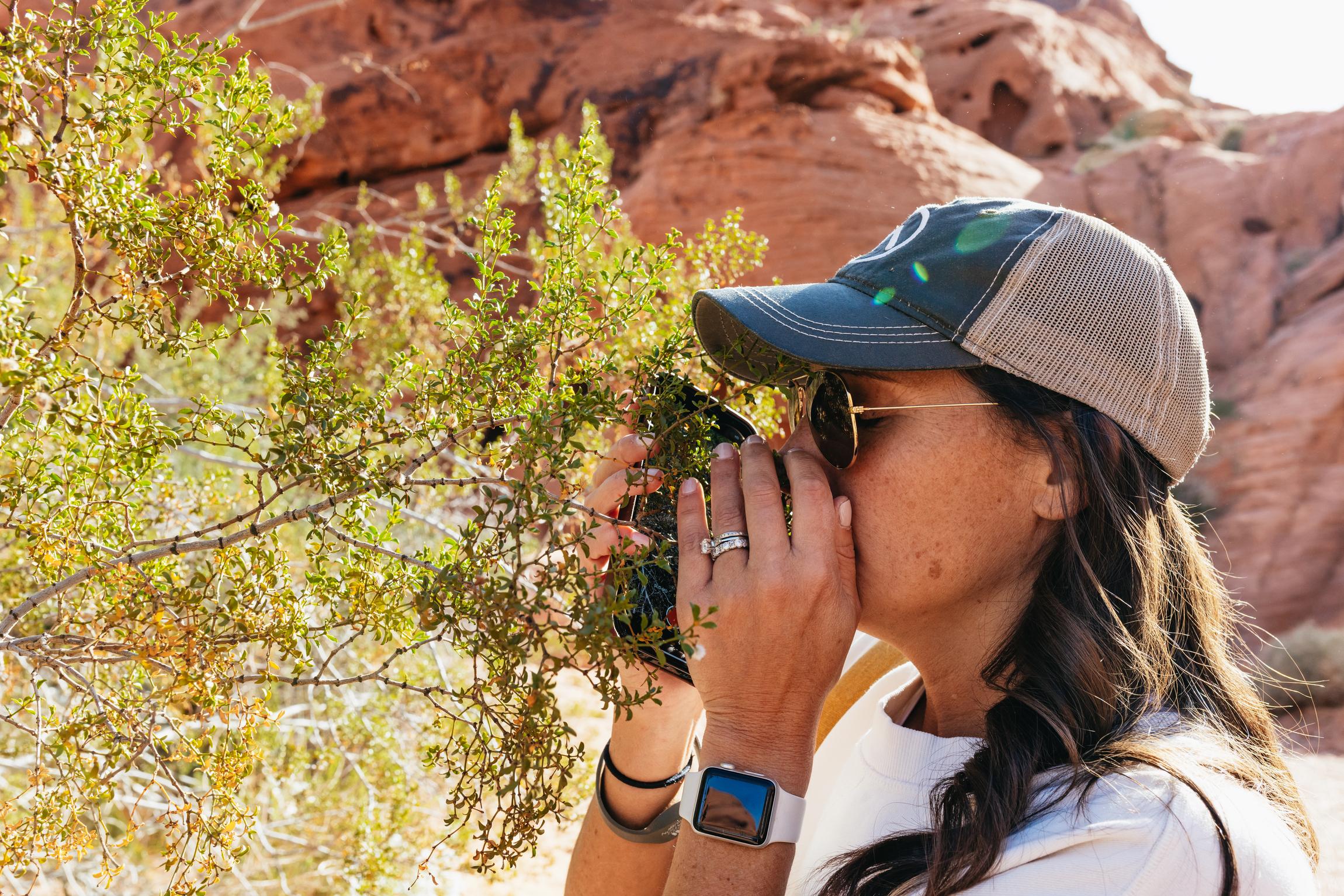 Las Vegas: Valley of Fire Guided Hike with Drinks and Snacks - 2026 (Verified Reviews)