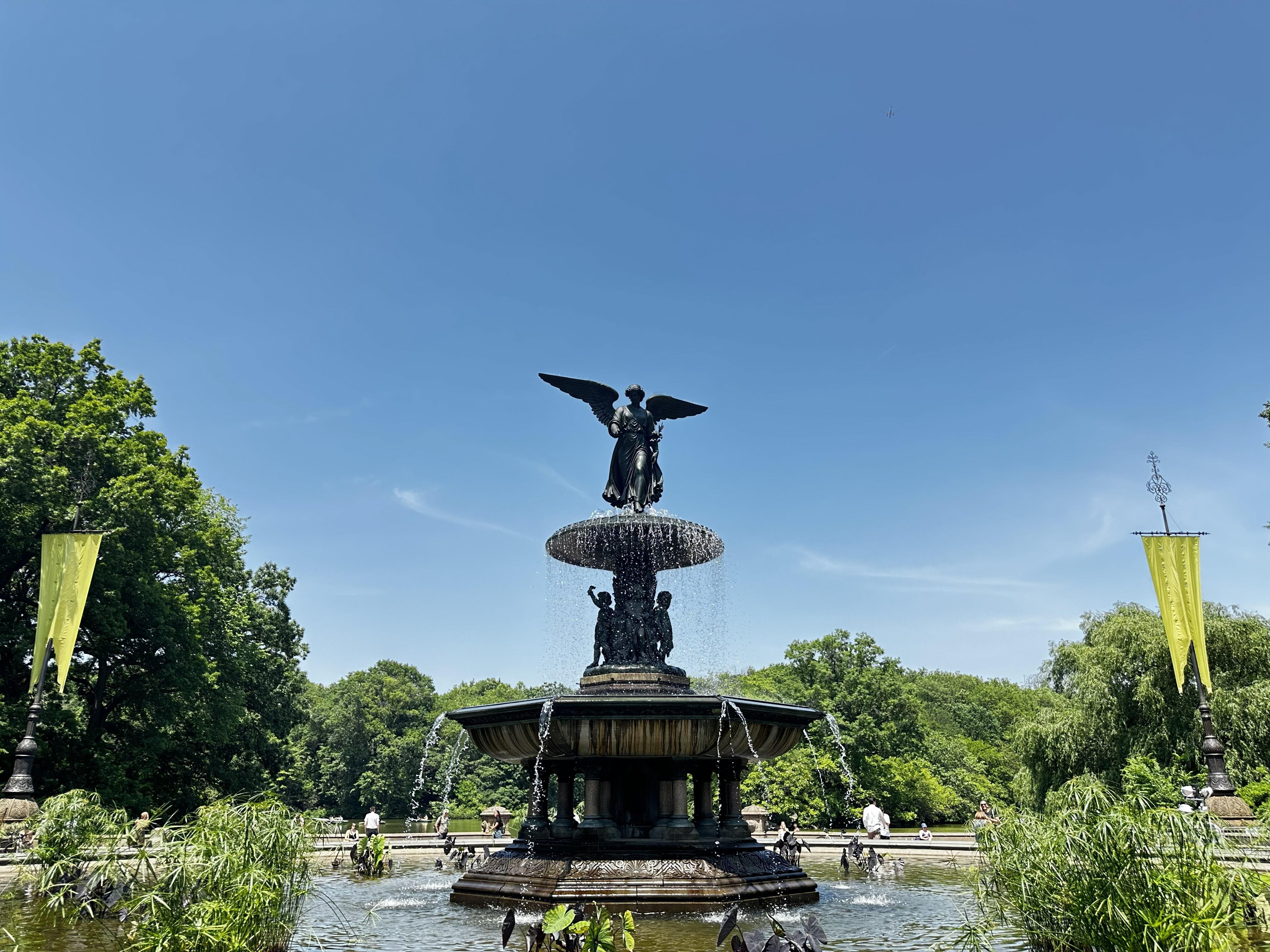 Central Park horse carriage ride — image 4
