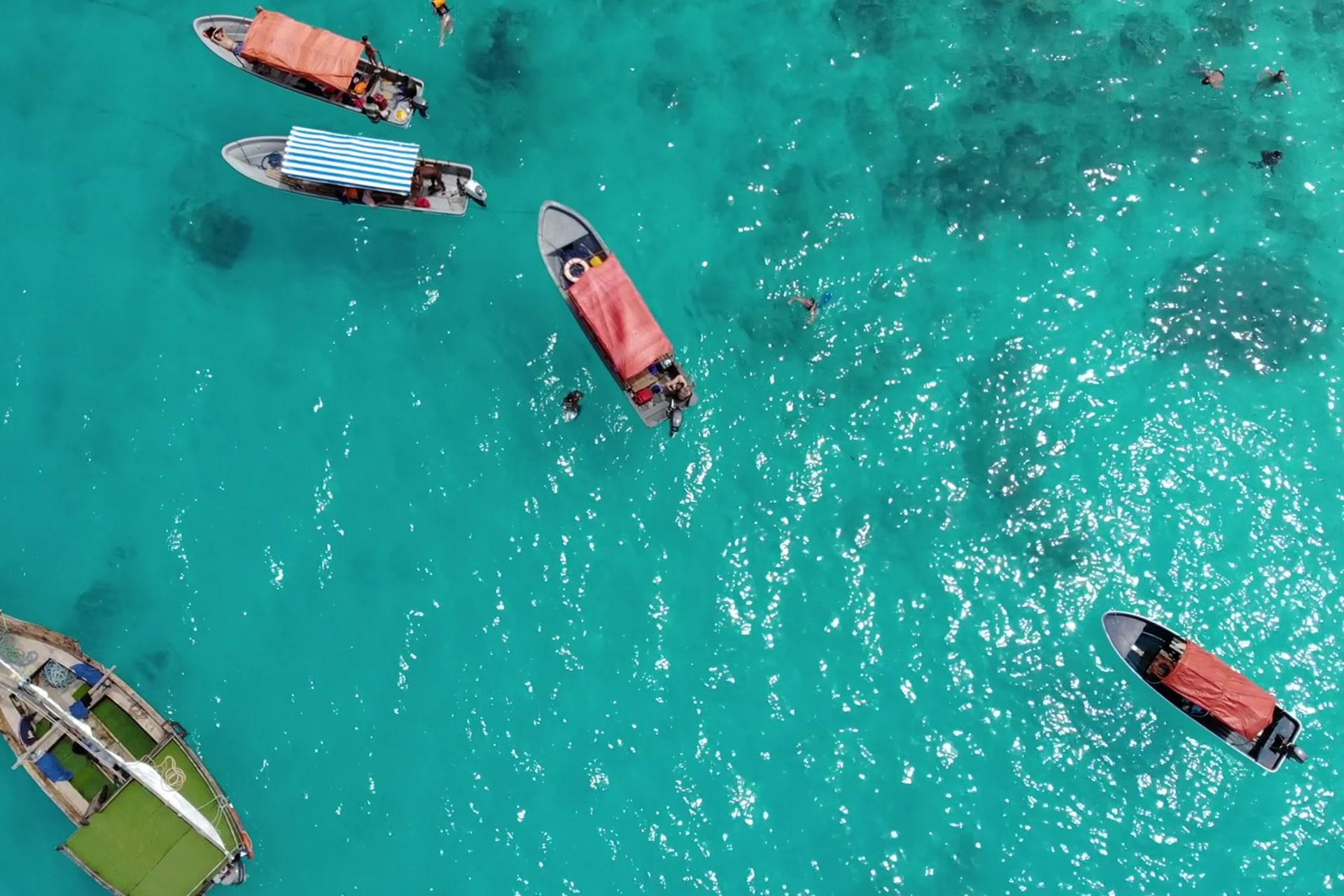 Zanzibar: Mnemba Island Dolphin Swim & Snorkel Adventure
