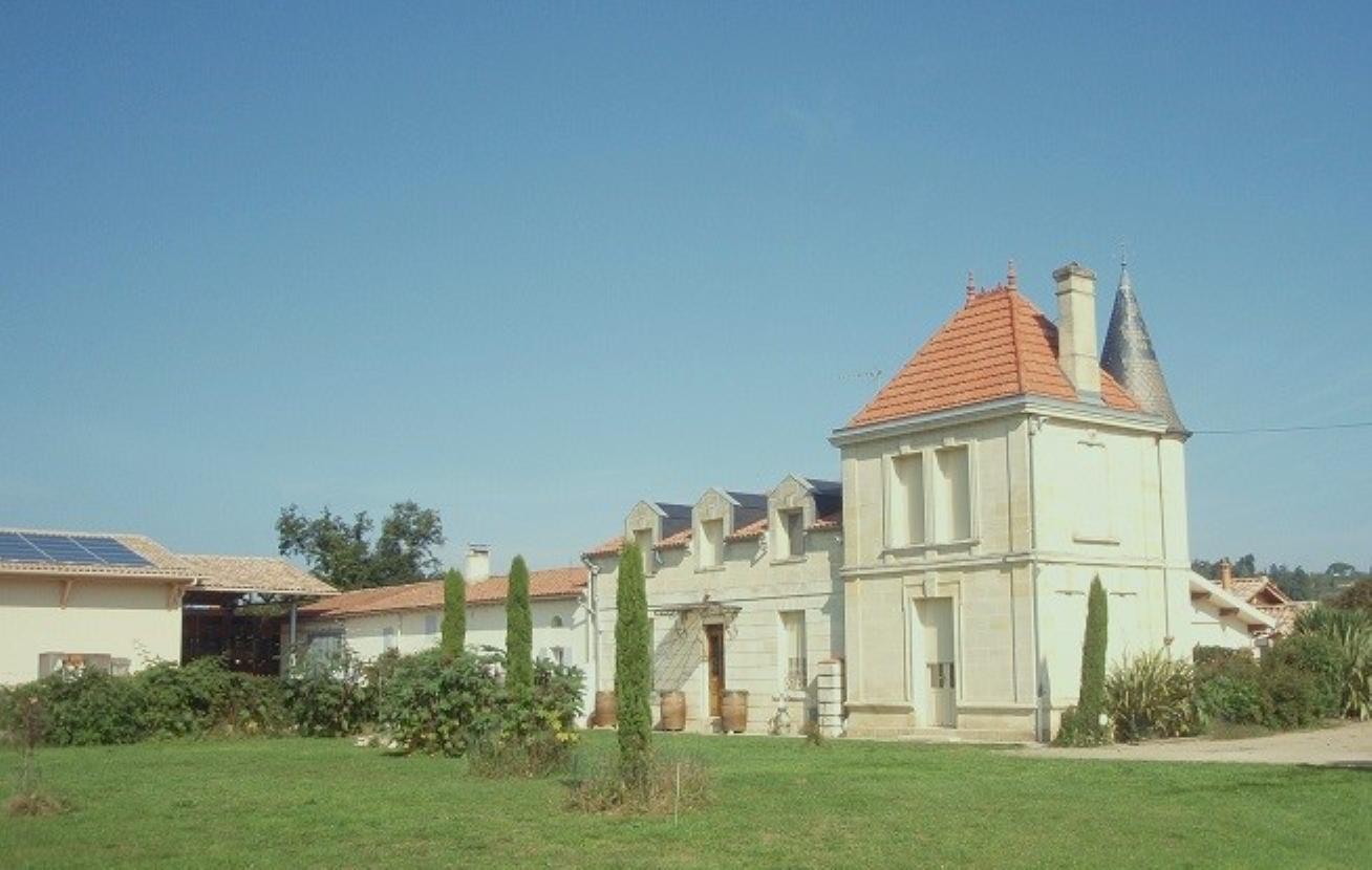 Family Vineyard Tour & Grand Cru Tasting at Château Haute-Nauve