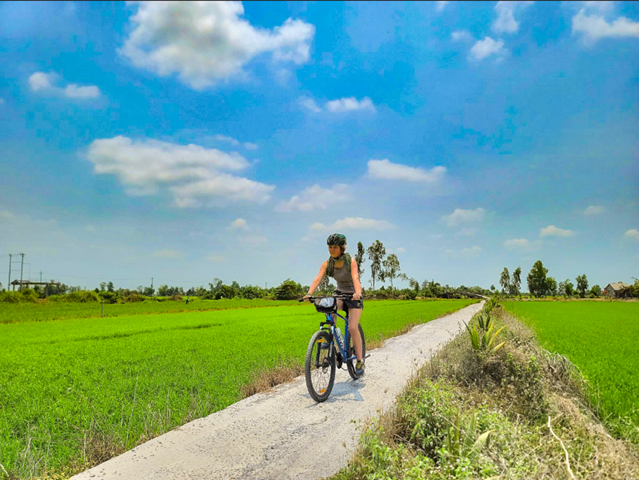 Mekong Delta VIP Day Tour from Ho Chi Minh City by Luxury Limousine