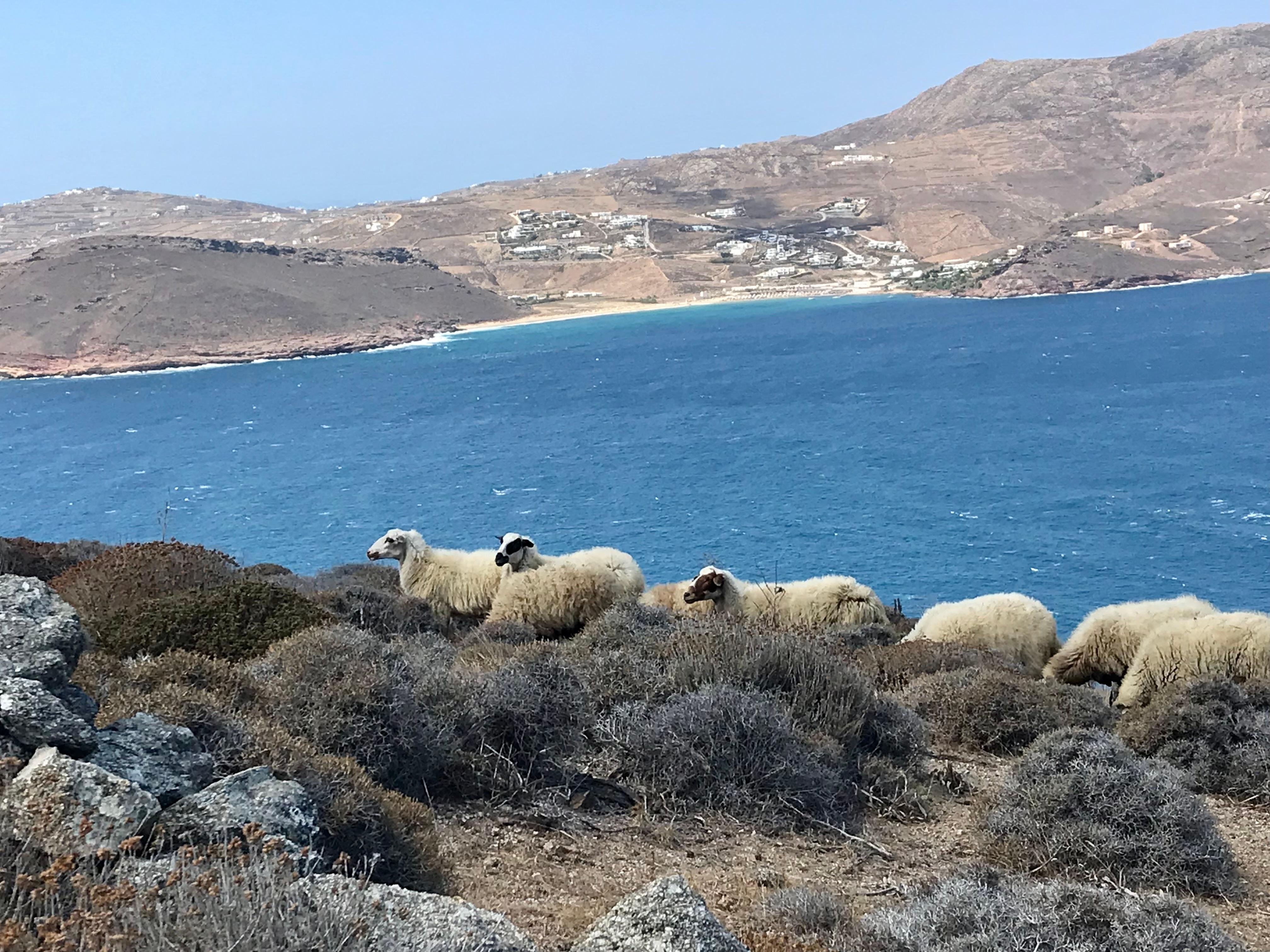 Mykonos Off-Road ATV Expedition