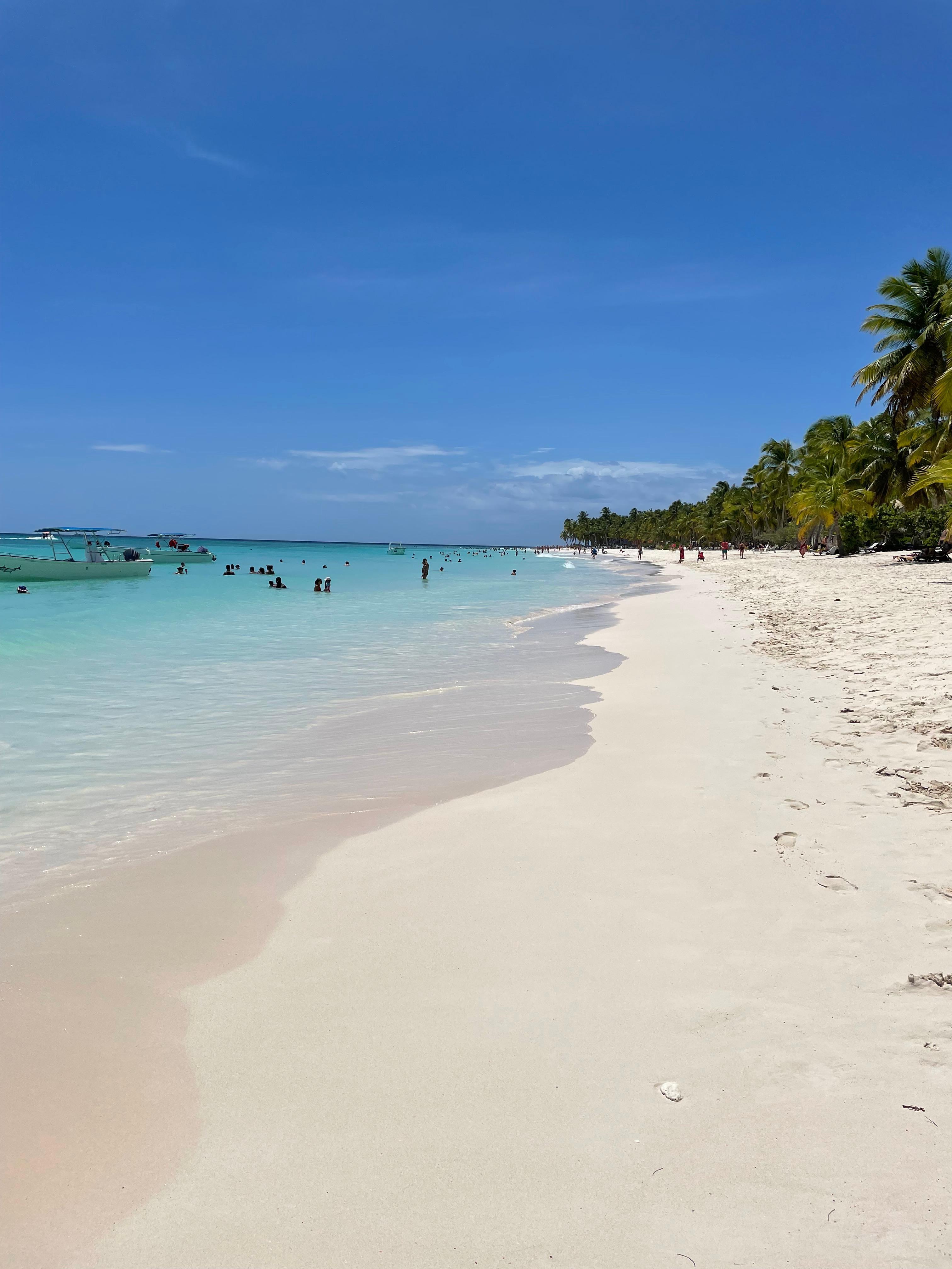 Isla Saona Full-Day Catamaran Adventure from Santo Domingo