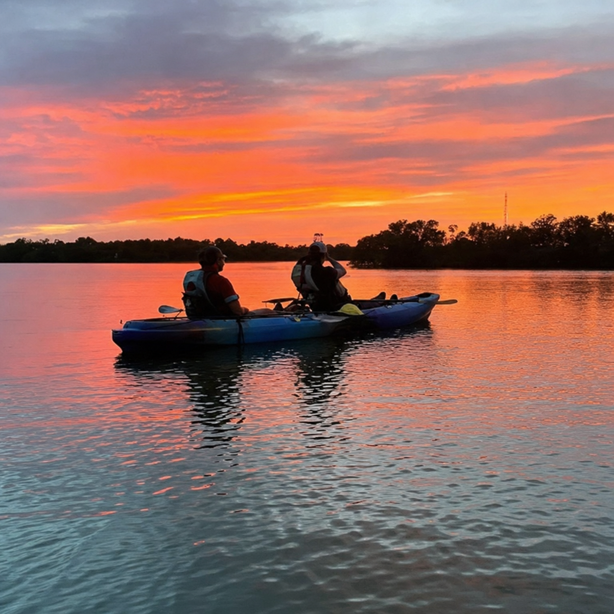 Sunset Kayak Tour with Bioluminescent Comb Jellies