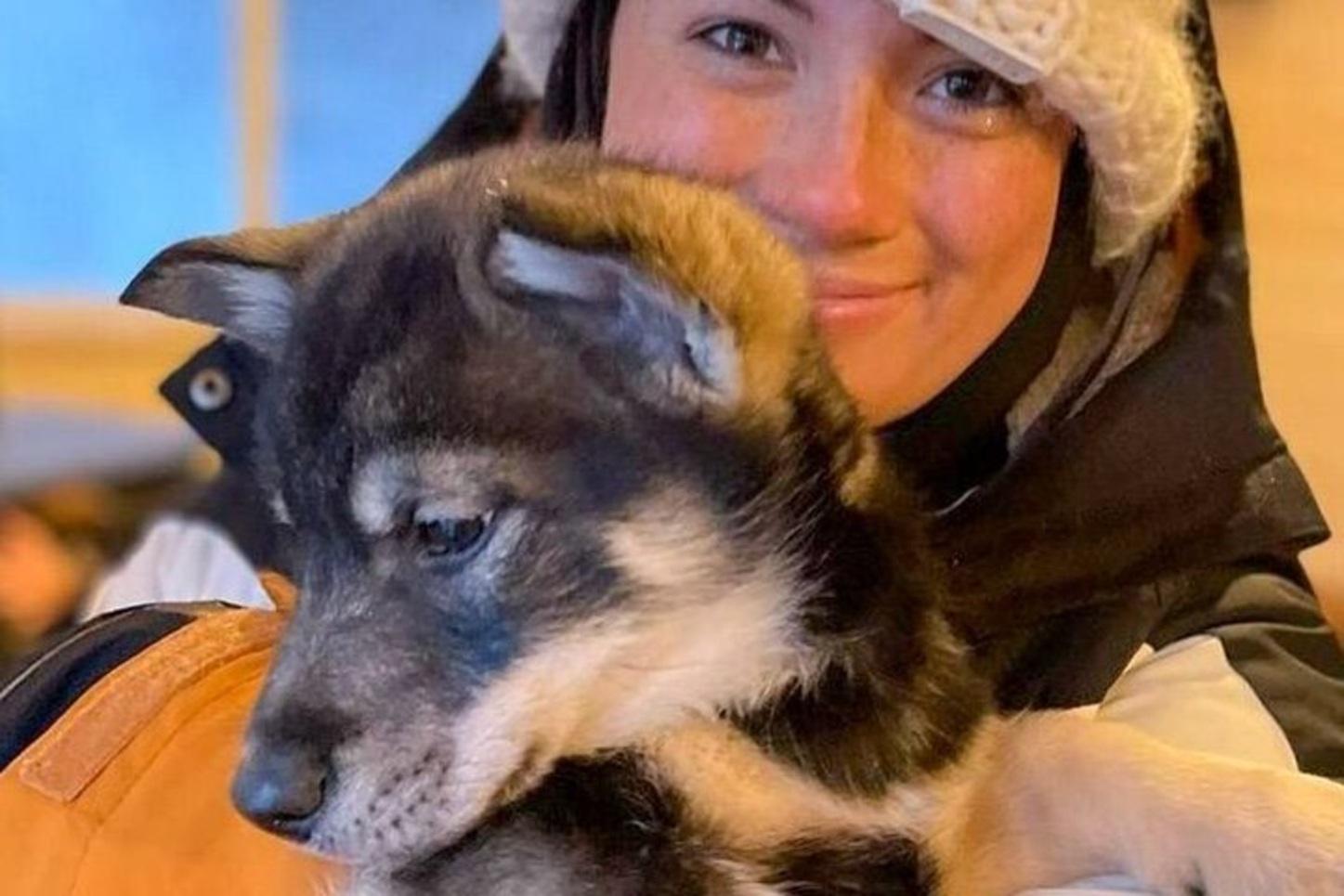 Dog Sledding & Wildlife Farm Experience with Anchorage Transfer