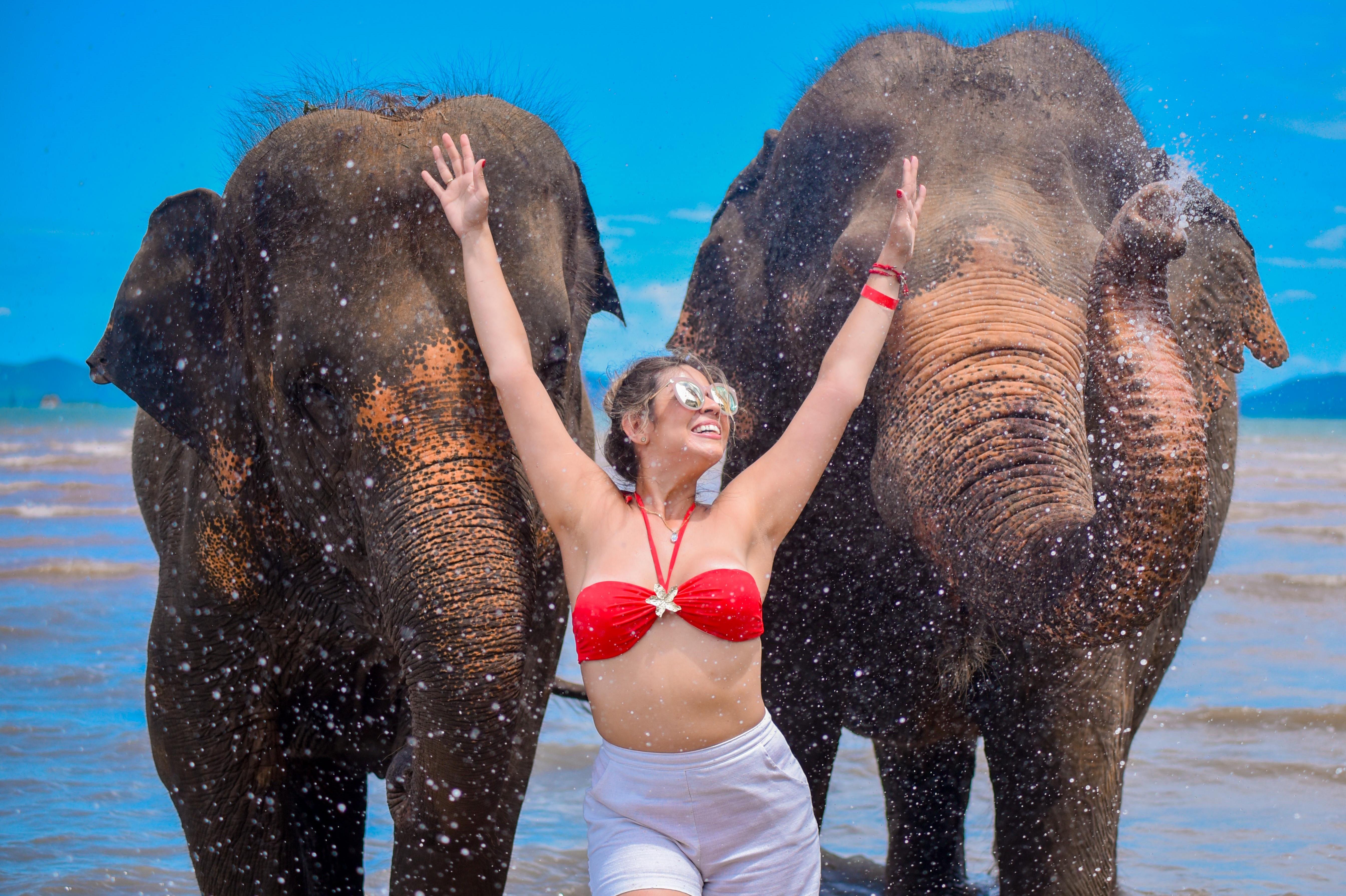 Half-Day Beachside Elephant Encounter with Thai Lunch