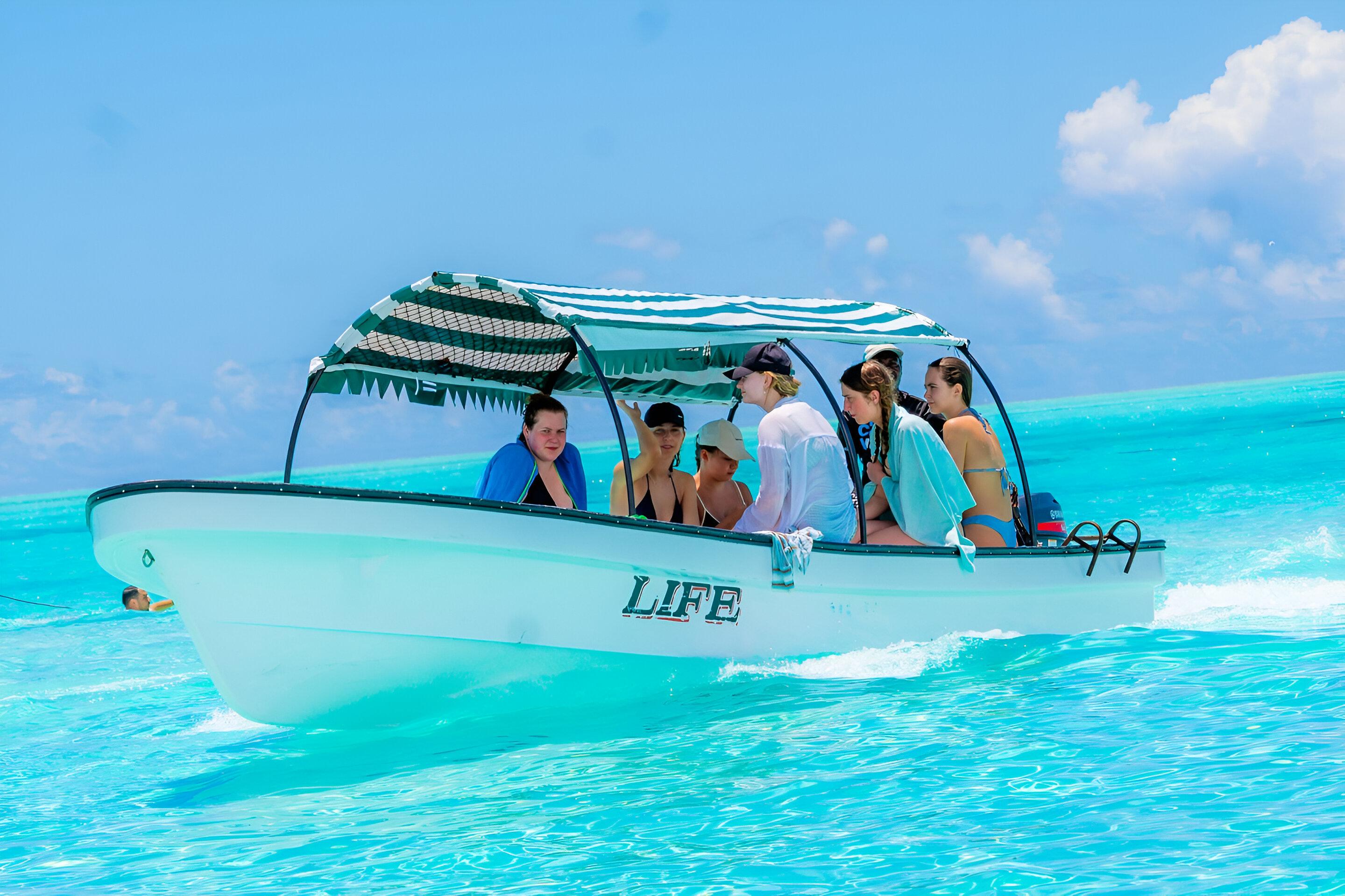 Mnemba Island Dolphin Swim & Snorkeling Adventure