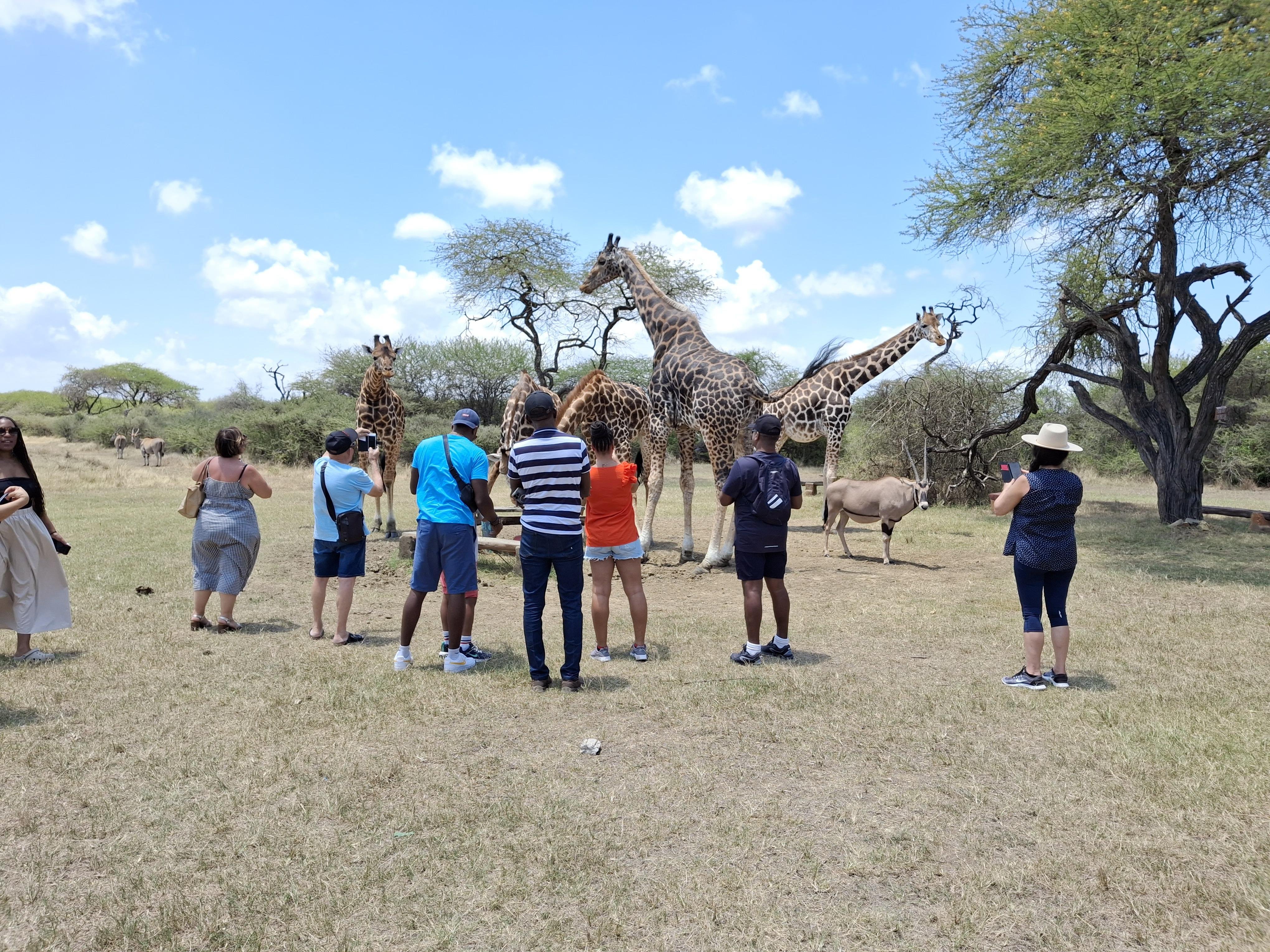 Mombasa City Discovery and Nguuni Wildlife Encounter