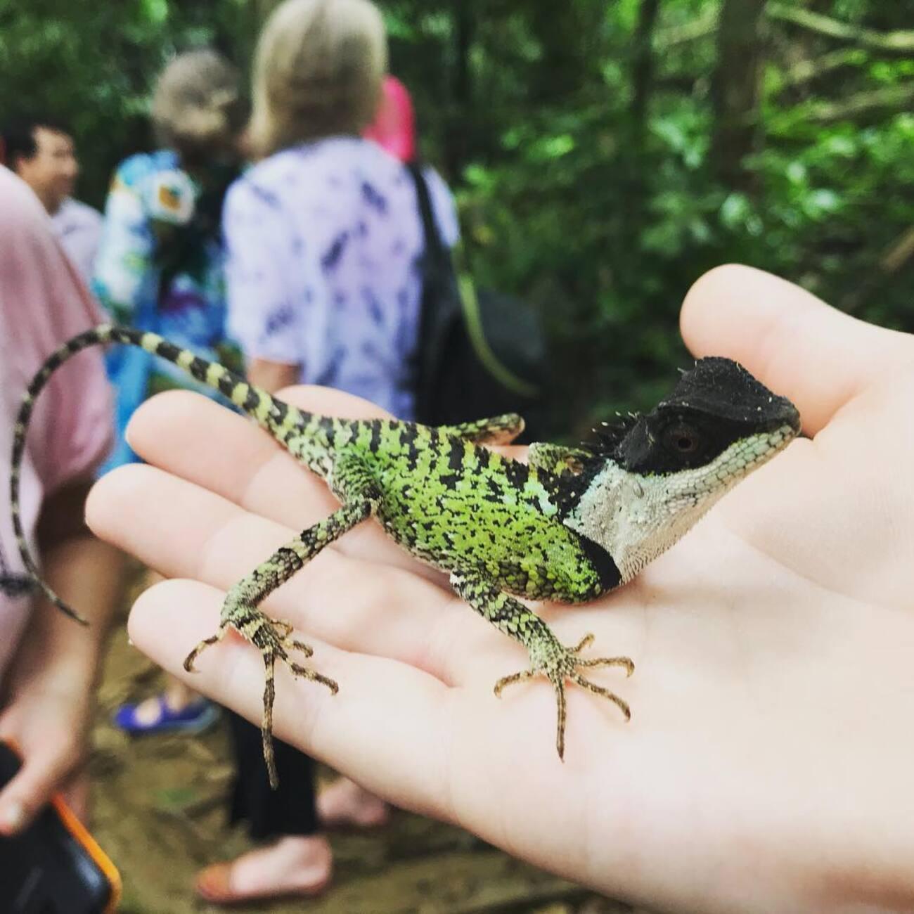 Cuc Phuong National Park: Wildlife, Cave & Jungle Trek Day Tour