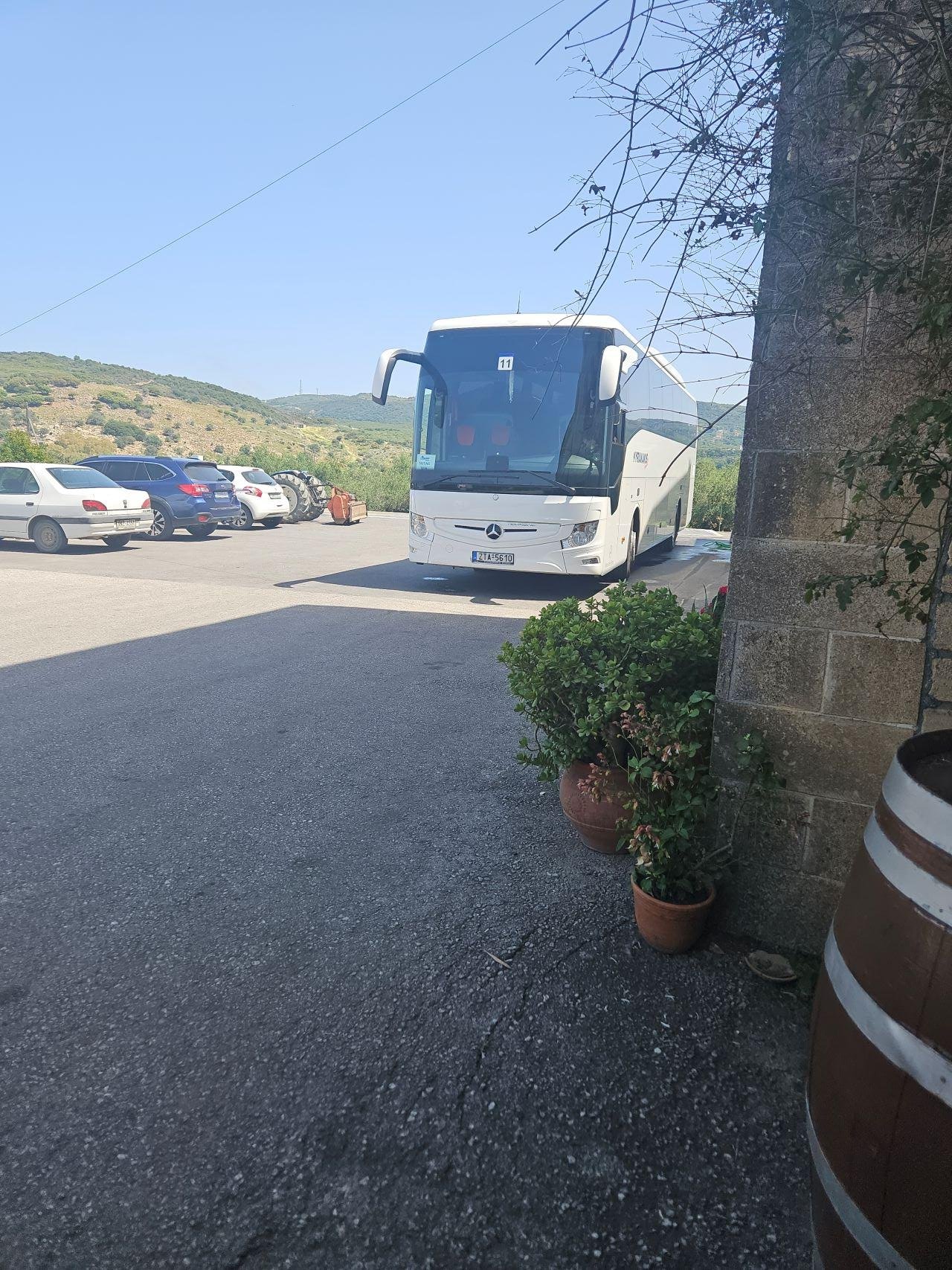 cheese tasting in Crete — photo 18