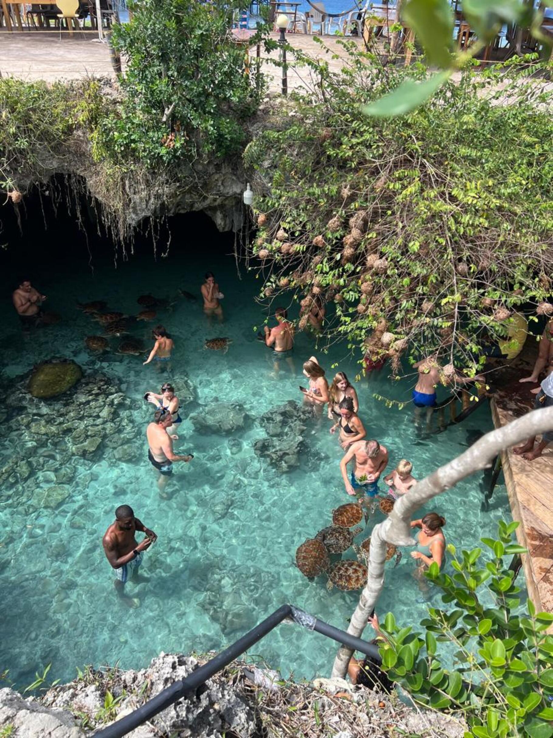 Zanzibar: Jozani Forest & Sea Turtle Sanctuary Day Tour