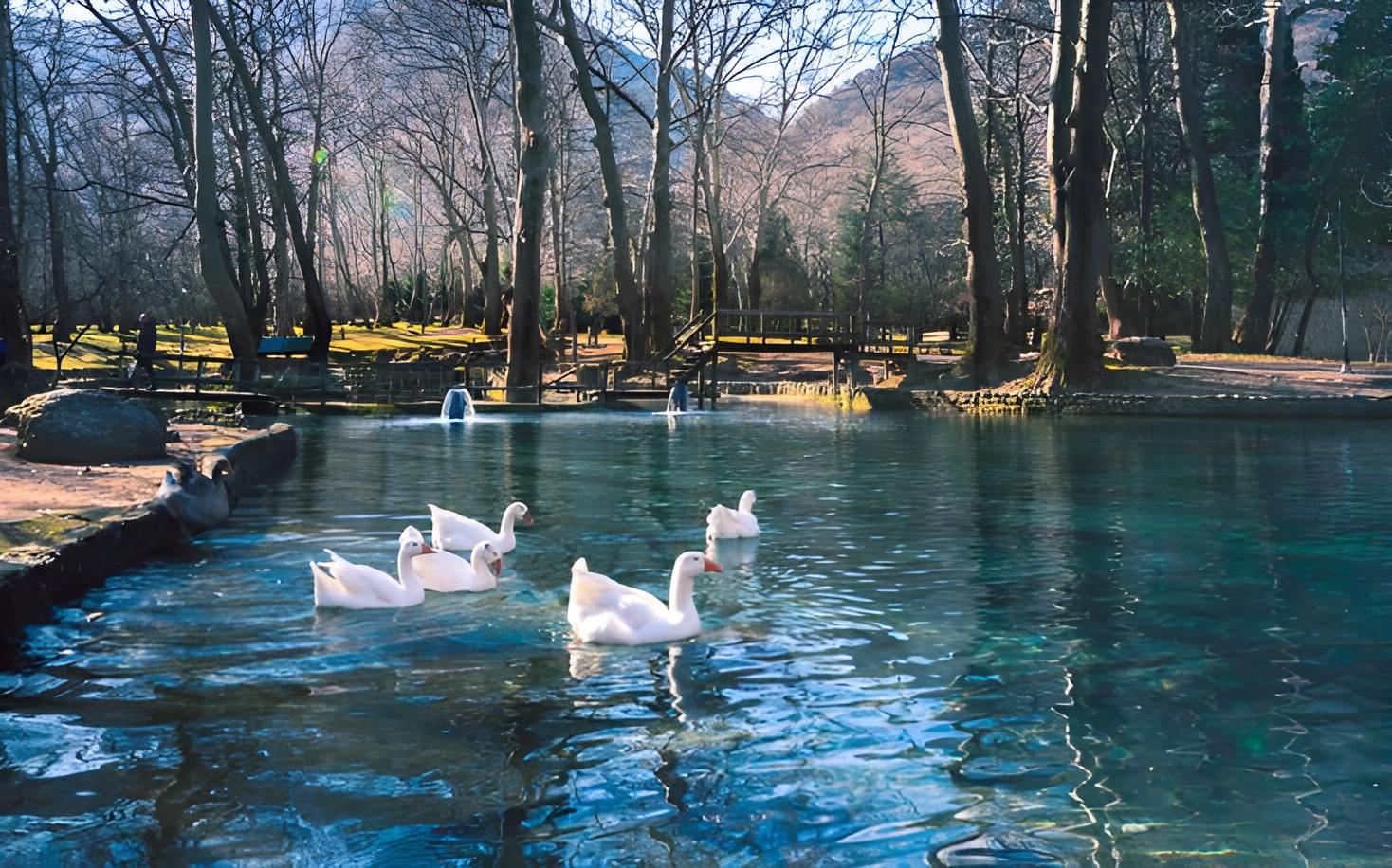 Vergina Royal Tombs, Agios Nikolaos Park & Edessa Waterfalls Day Trip