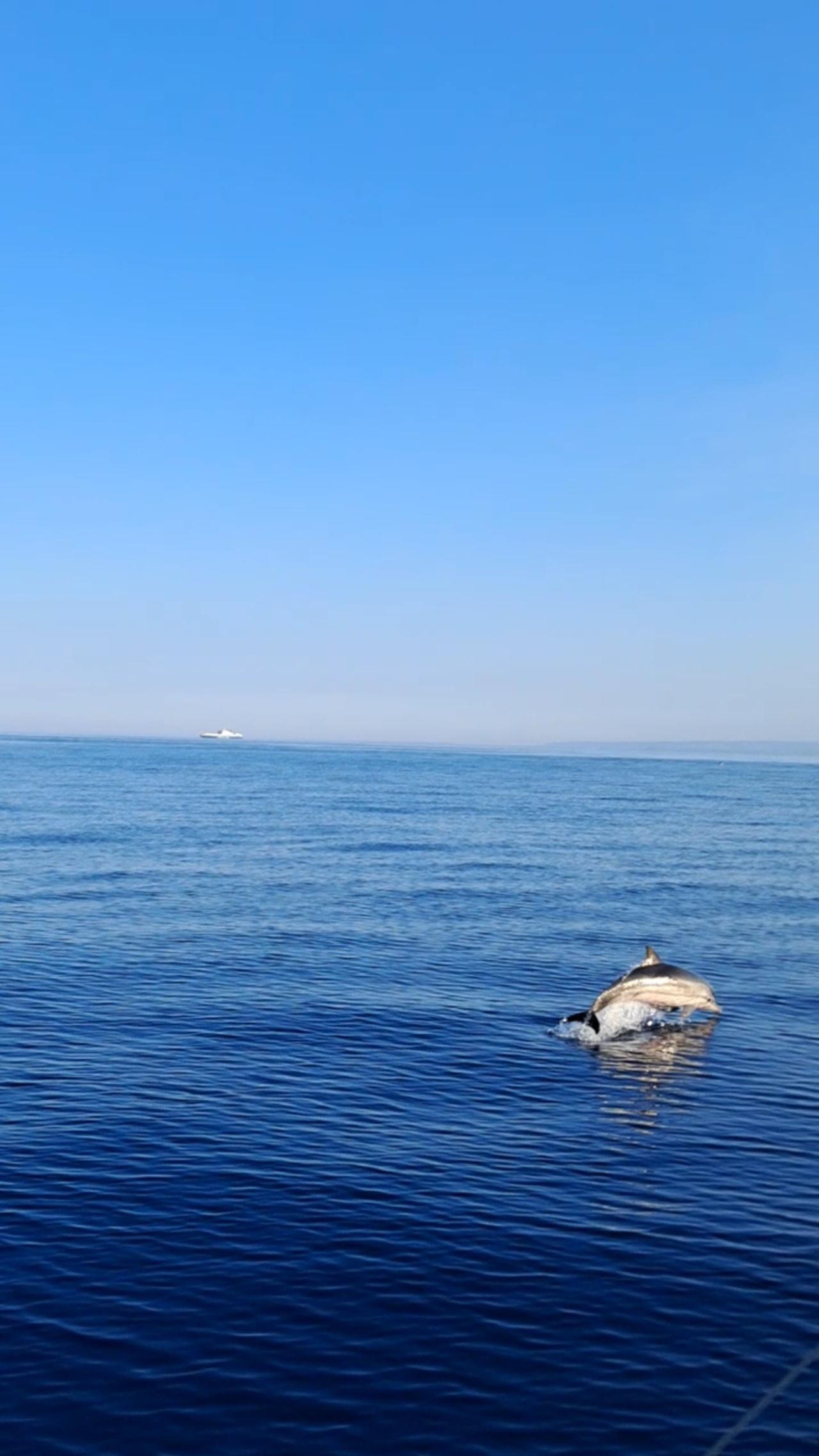 Aci Trezza Sunset Boat Tour from Catania