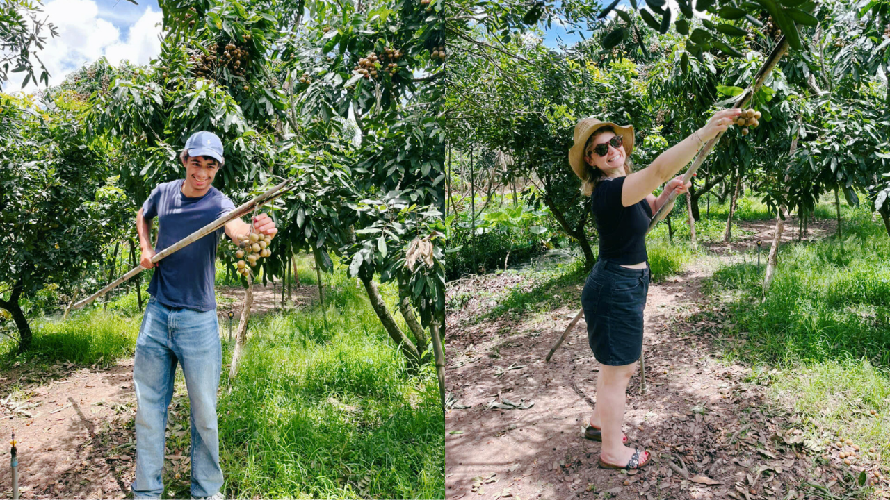Mekong Delta Day Trip: Cai Rang Floating Market & Cồn Sơn Islet