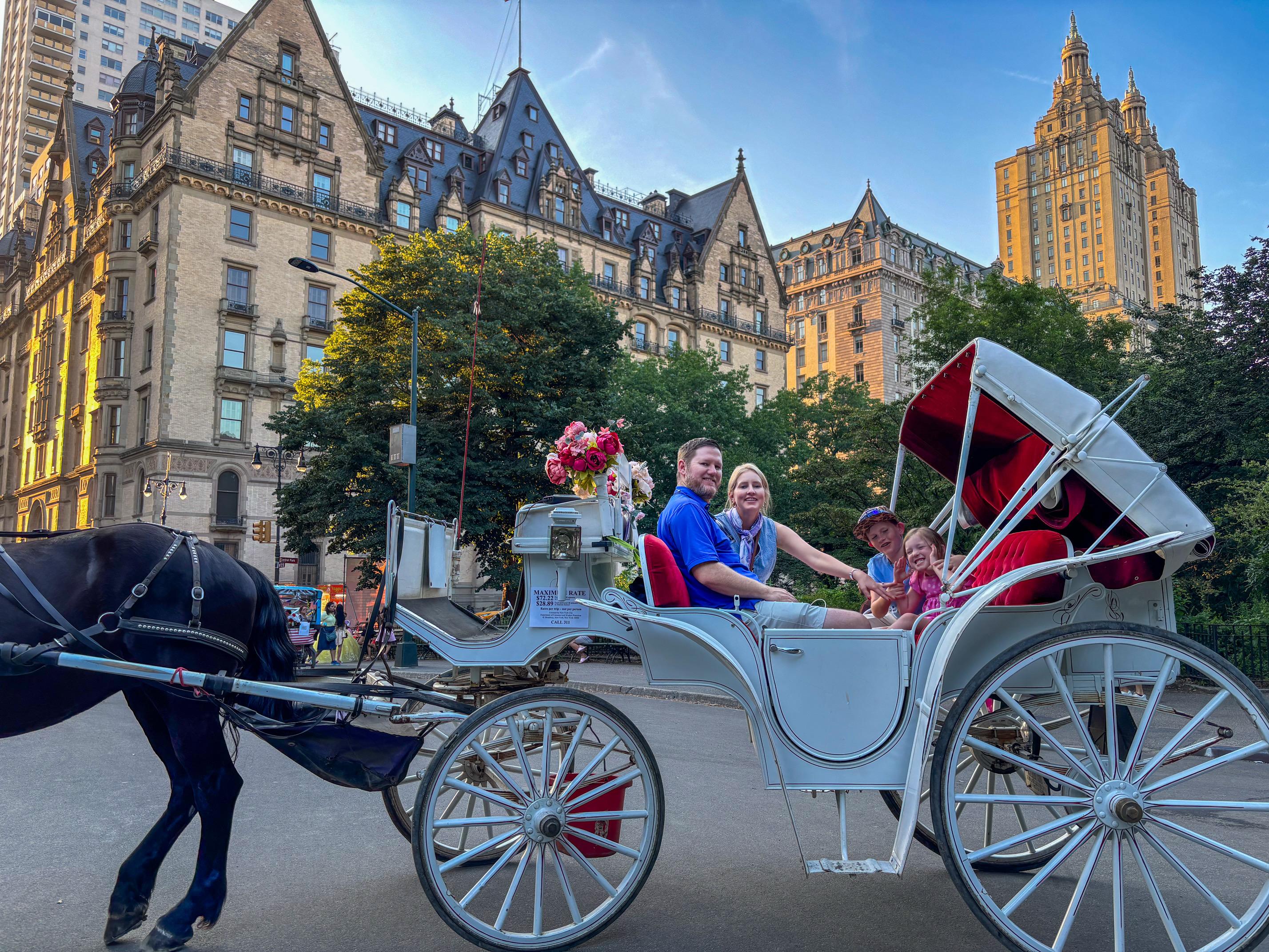 Central Park horse carriage ride — image 12