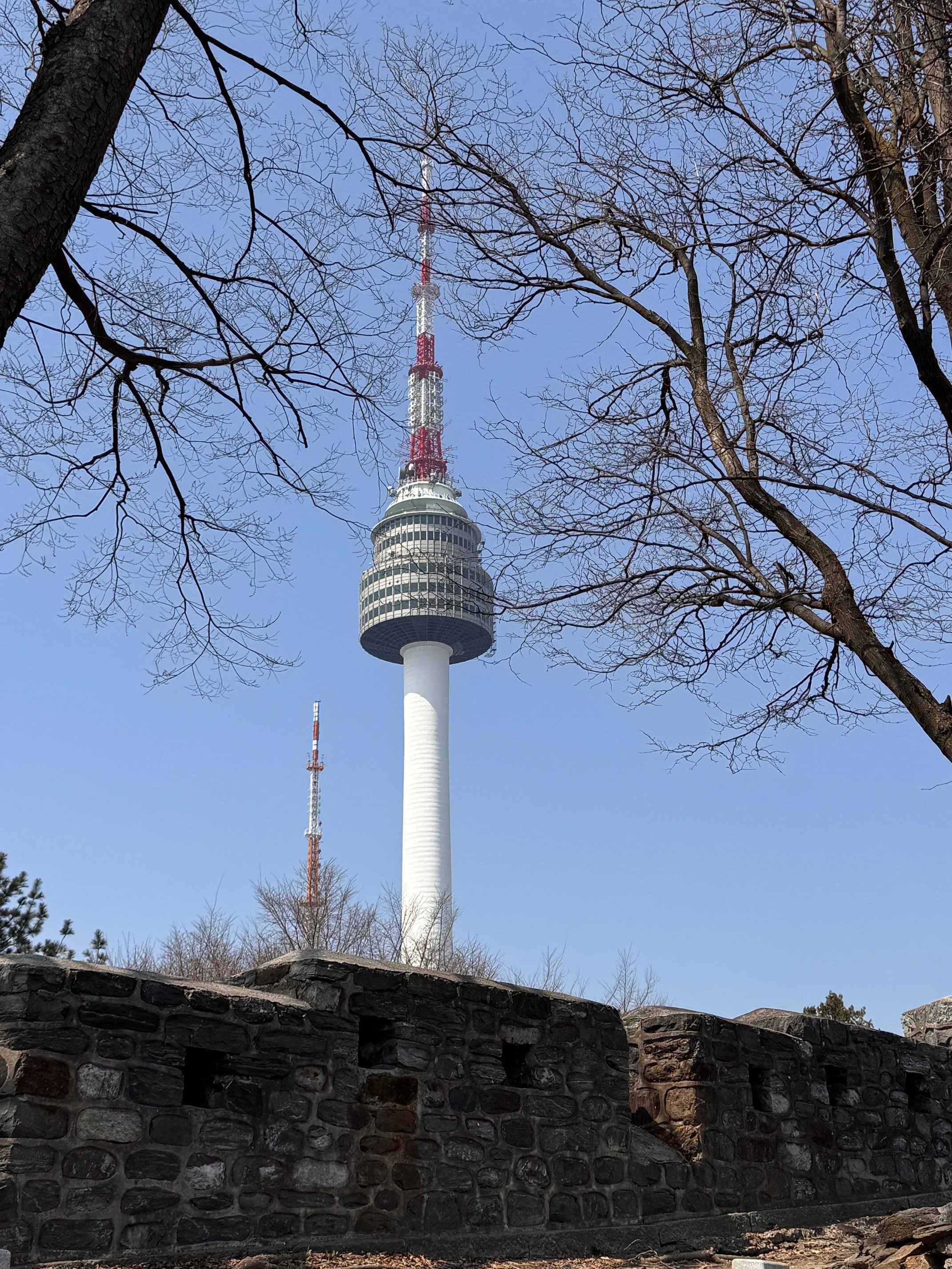 Namsan Mountain City Wall Hike & Namdaemun Noodle Lunch