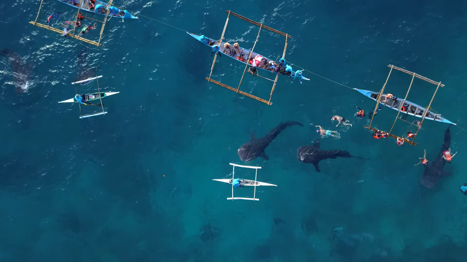 Oslob Triple Adventure: Whale Sharks, Tumalog Falls & Sumilon Island
