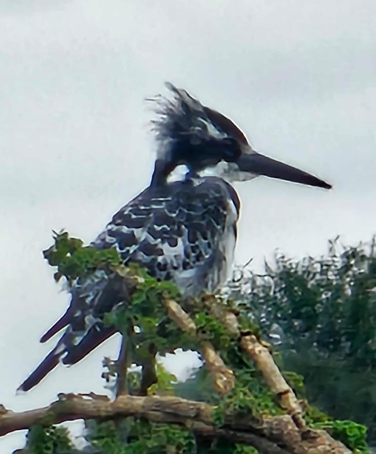 Nairobi National Park Half-Day Wildlife Safari