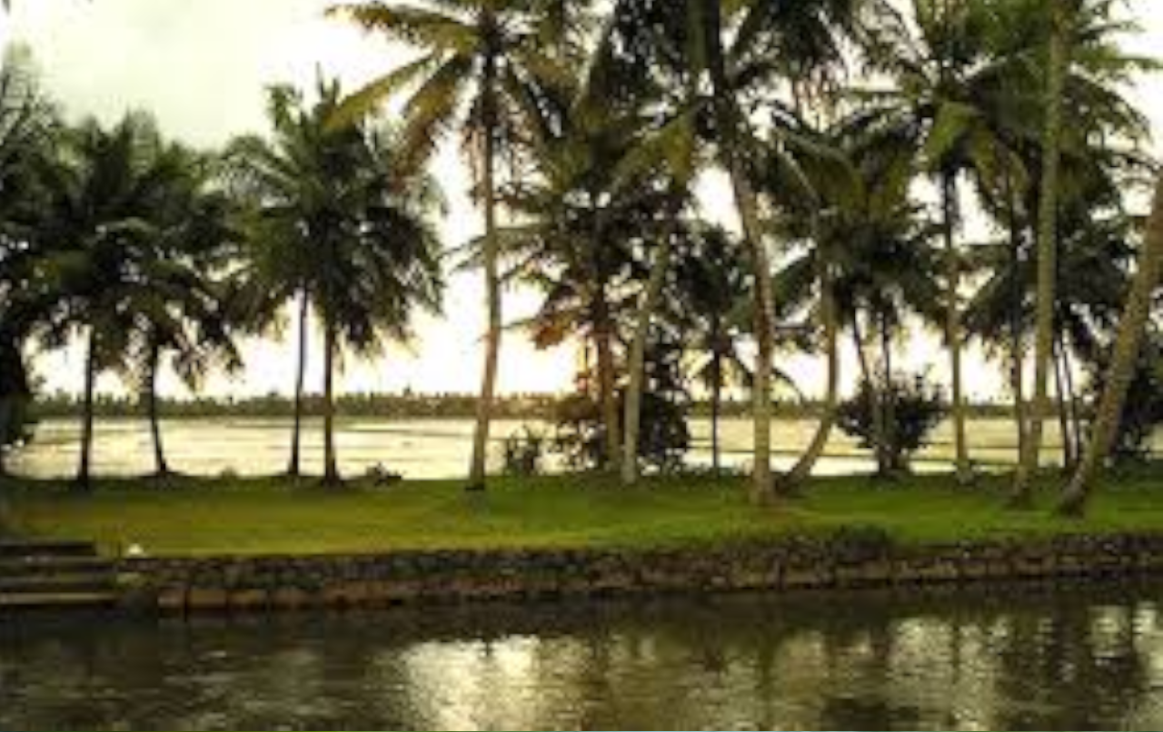 Alleppey Backwaters: Private Shikara Boat & Village Exploration