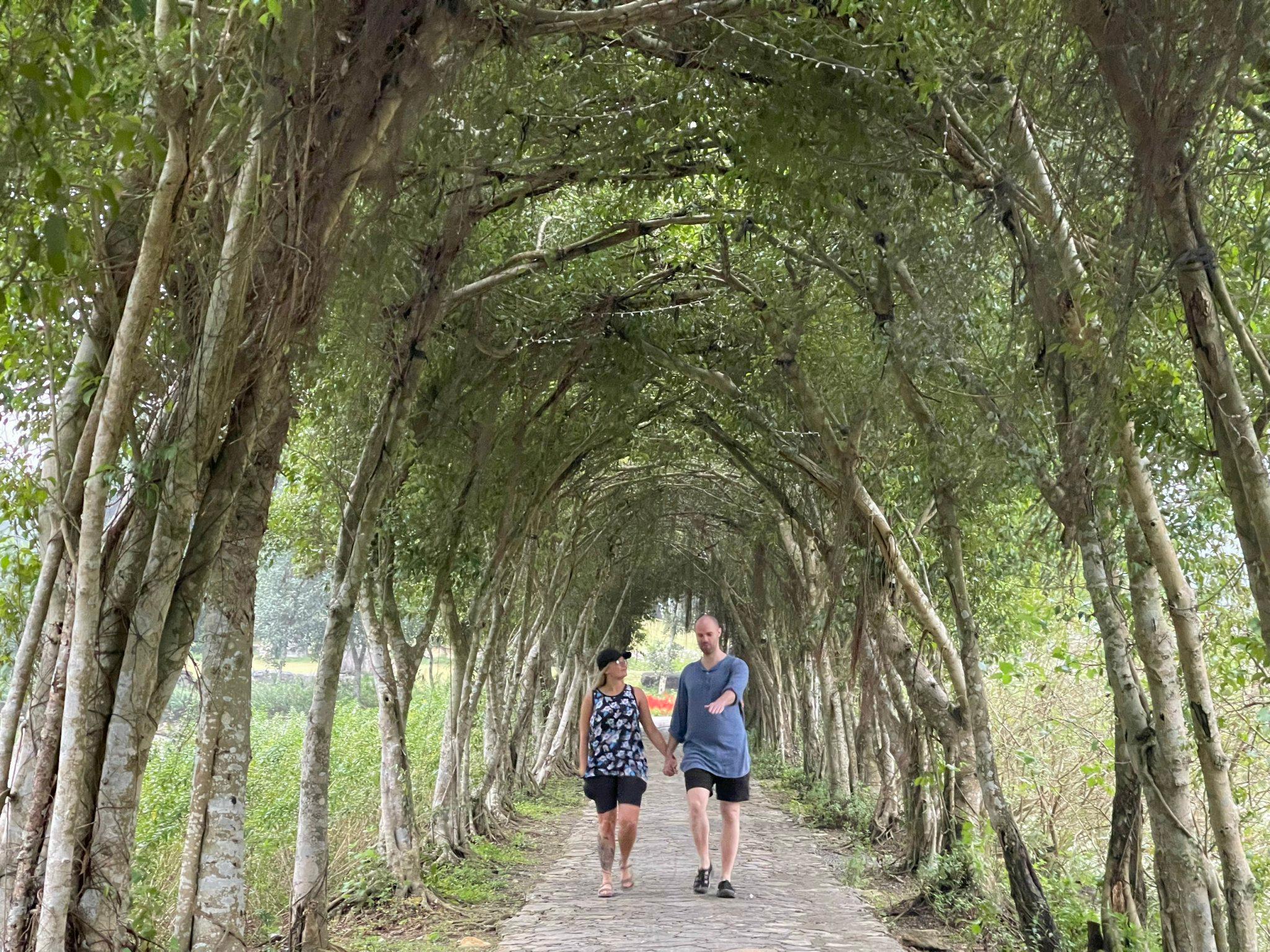 2-Day Ninh Binh Escape from Hanoi: Caves, Cycling & Culture