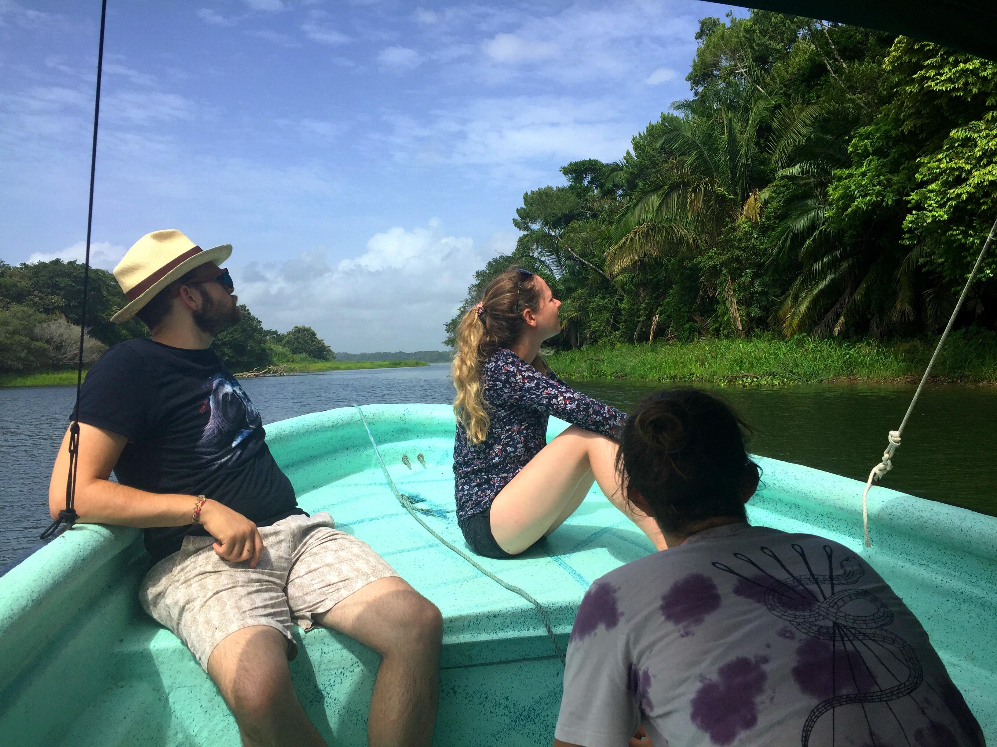 Panama Wildlife Discovery: Monkey Island, Sloths & Canal Boat Tour