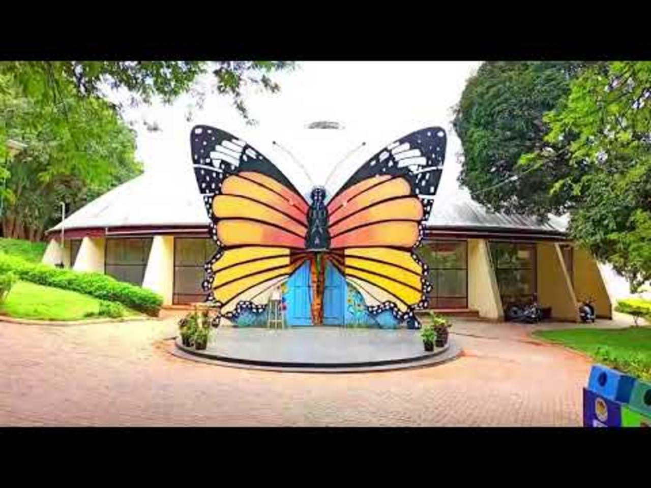 Bannerghatta Wildlife & Bangalore Heritage Private Tour