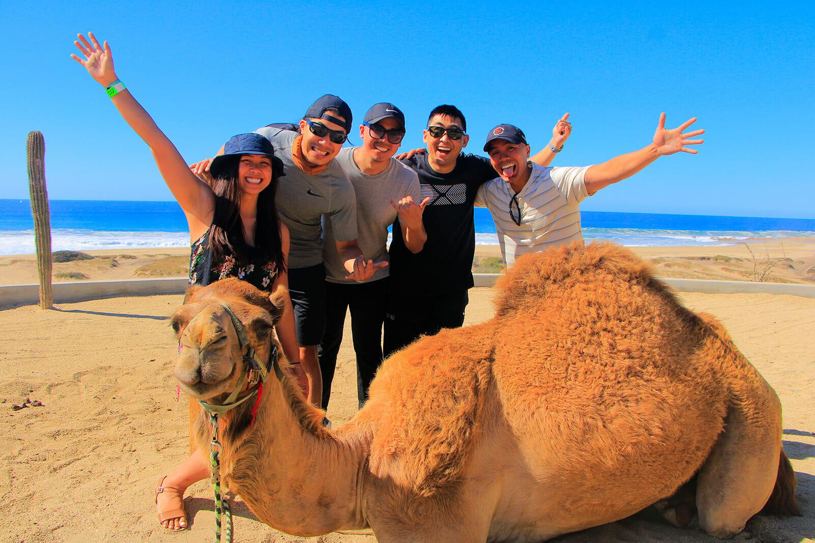 Cabo Desert Camel Ride with Mexican Buffet & Tequila Tasting