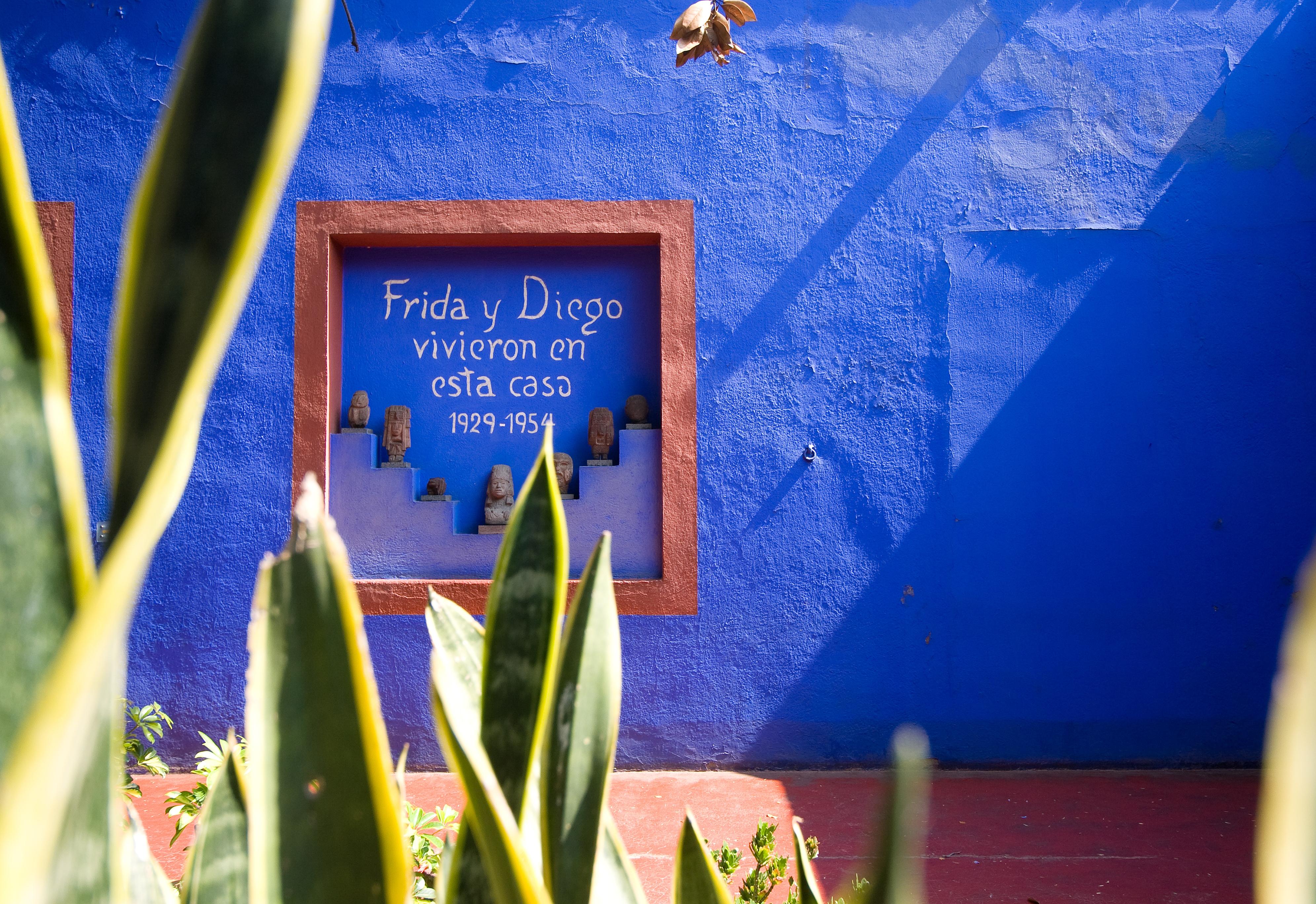 Mexico City Cultural Full-Day Tour: Xochimilco, UNAM & Coyoacán