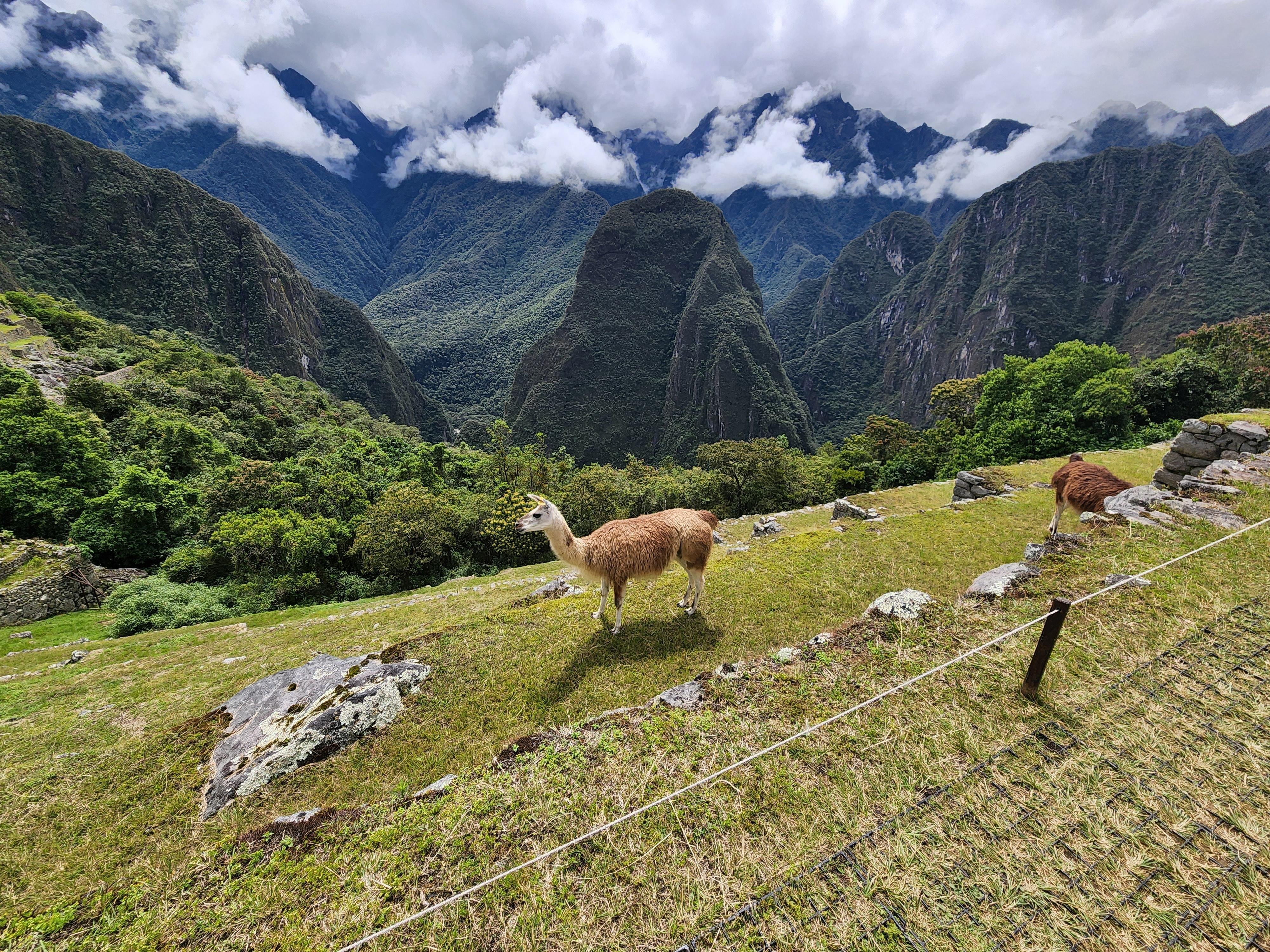 Private Machu Picchu Tour: All-Inclusive Guided Experience