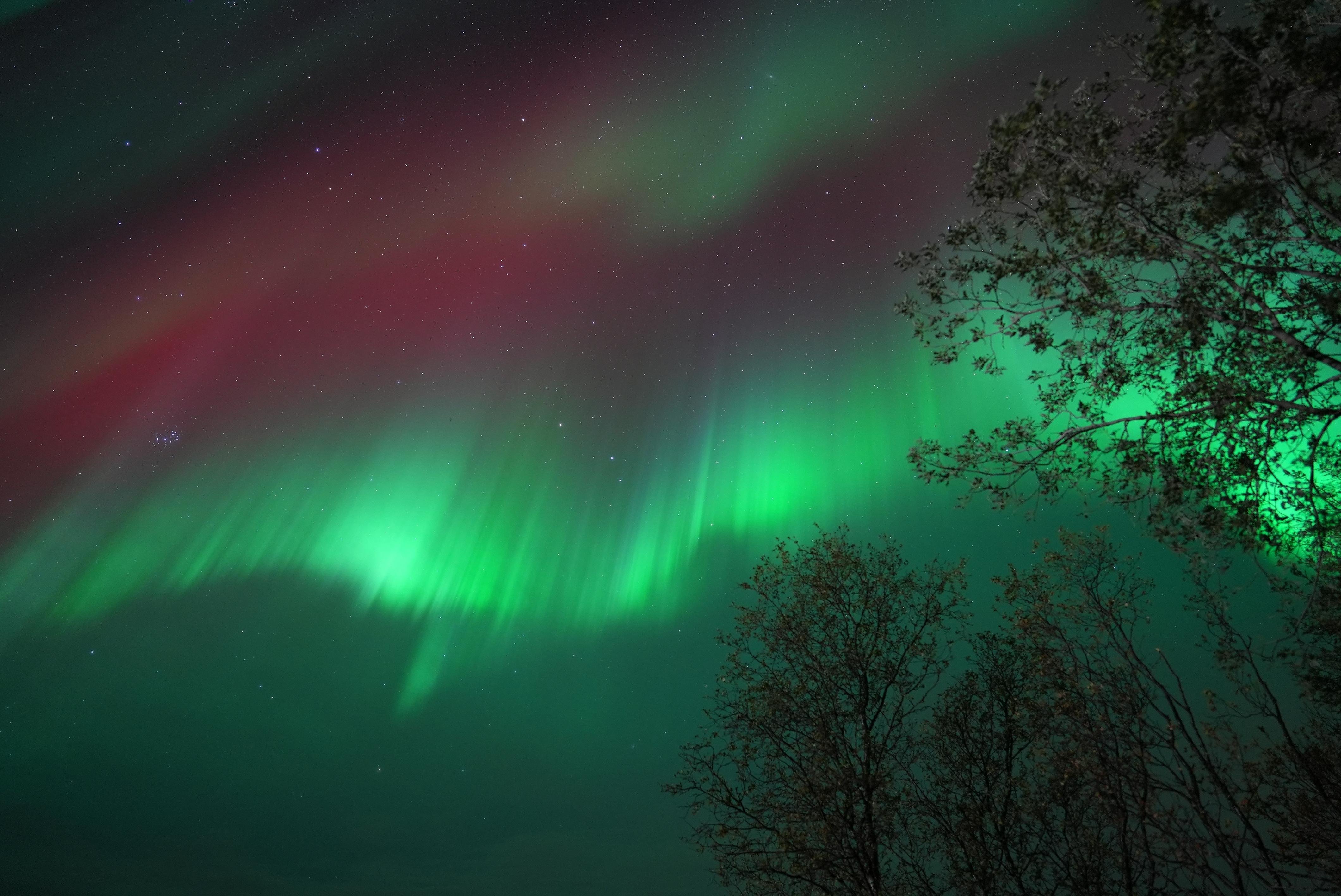 Northern lights chase from Tromsø — image 25