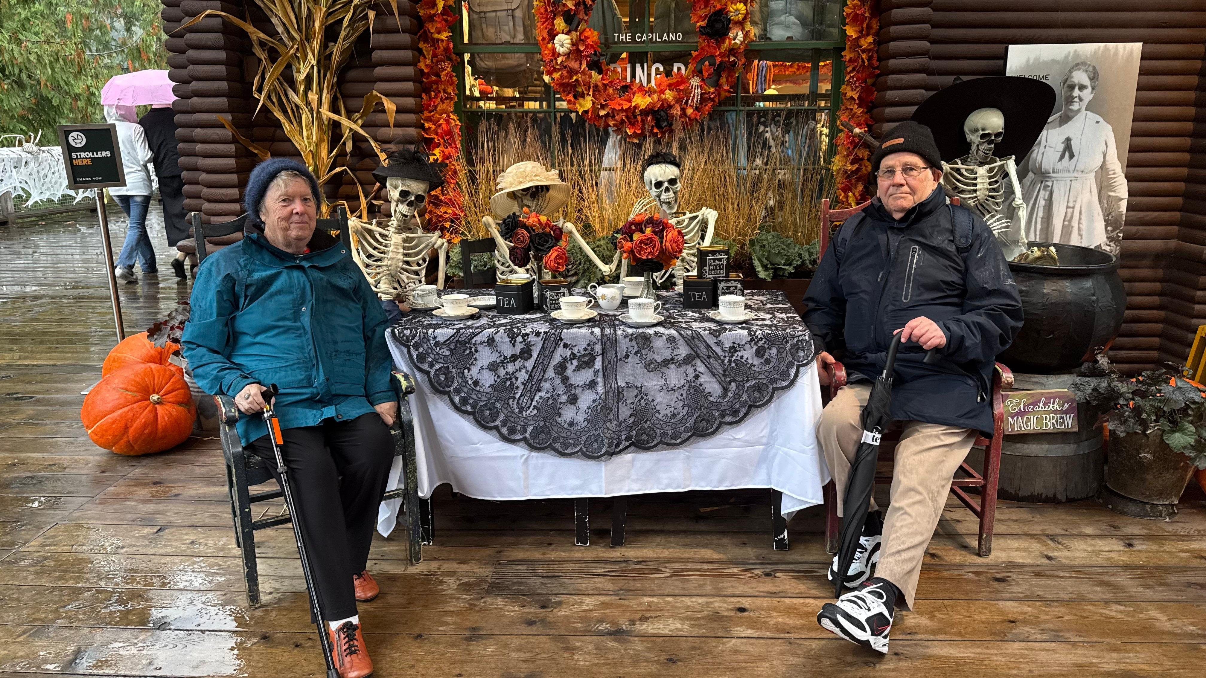 Capilano Suspension Bridge & Stanley Park Small Group Tour