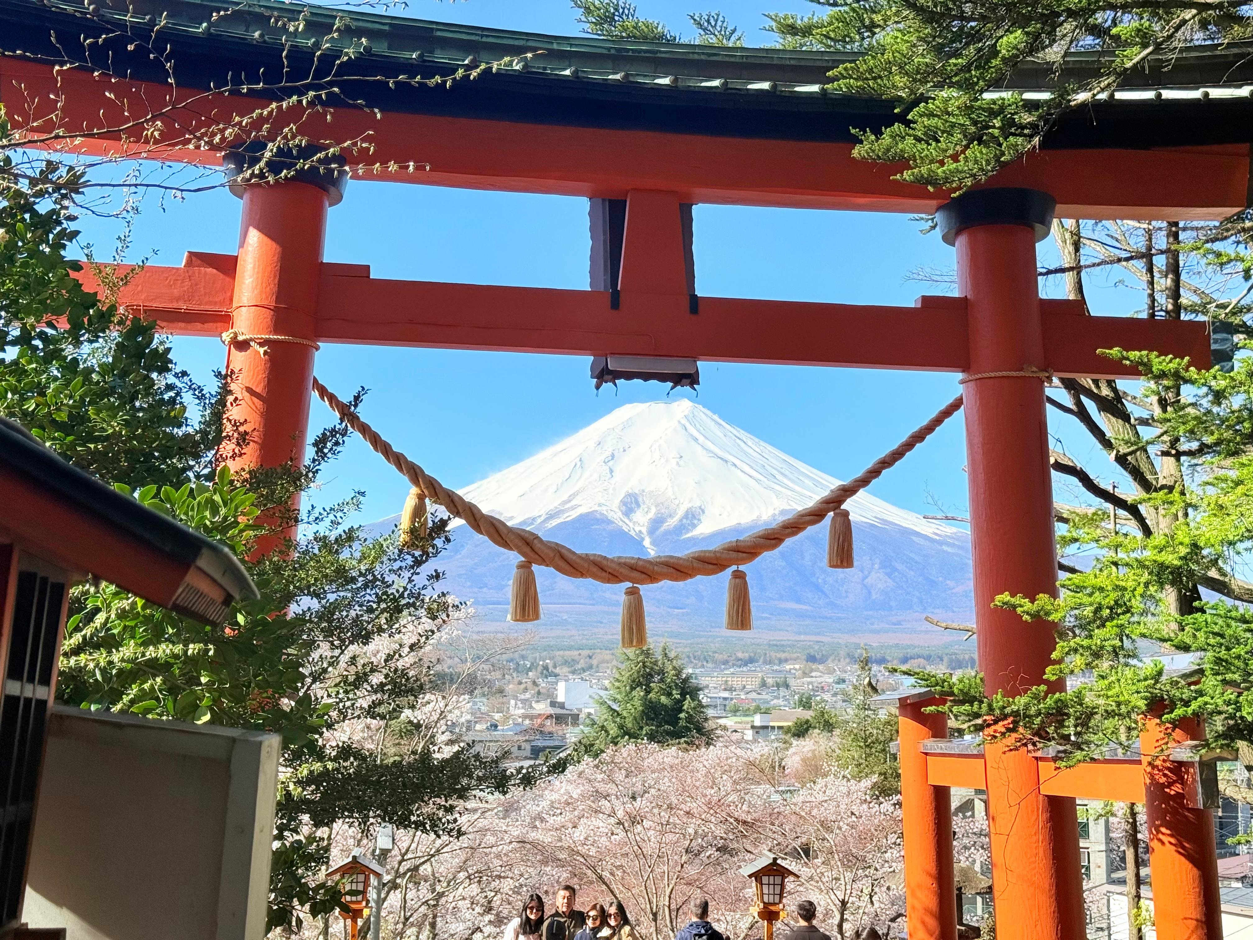 Private Mount Fuji Custom Day Trip from Tokyo