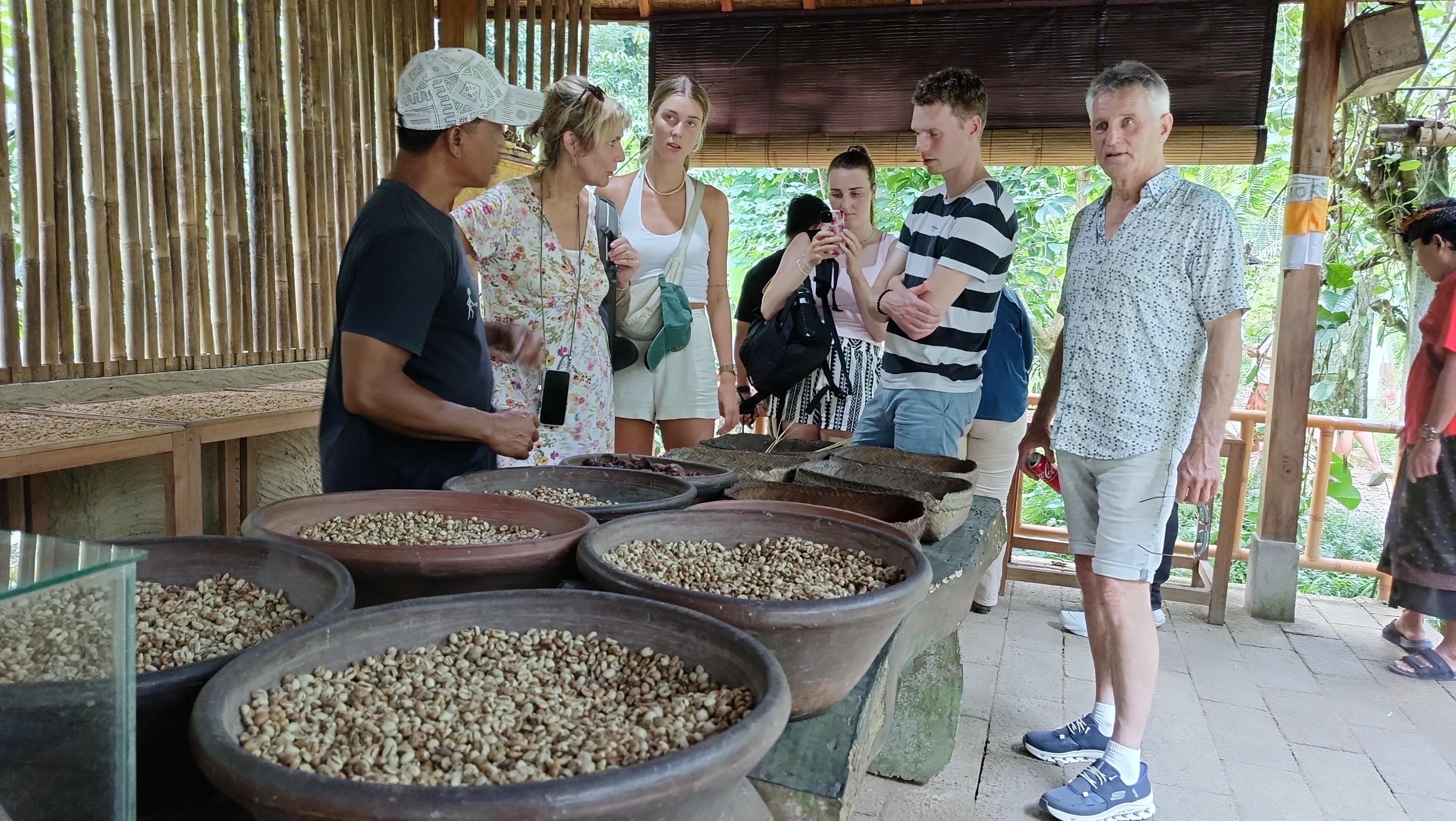 Ubud Cultural Discovery: Sacred Springs, Rice Terraces & Waterfalls