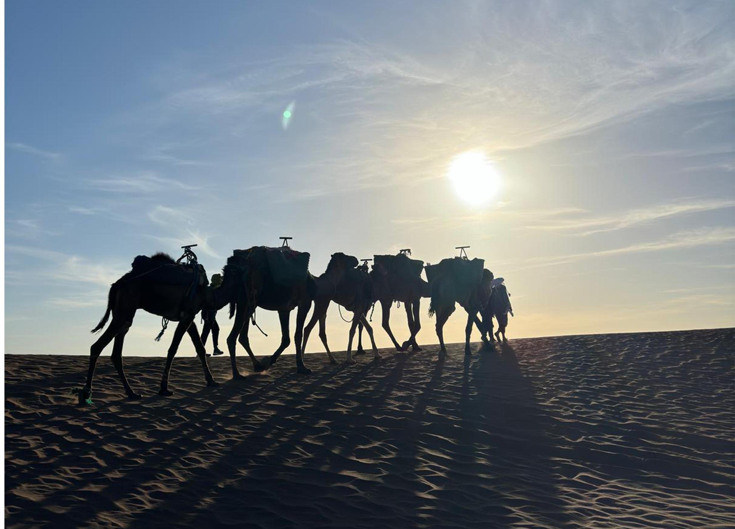 Private 3-Day Sahara Desert Adventure from Marrakech via Merzouga