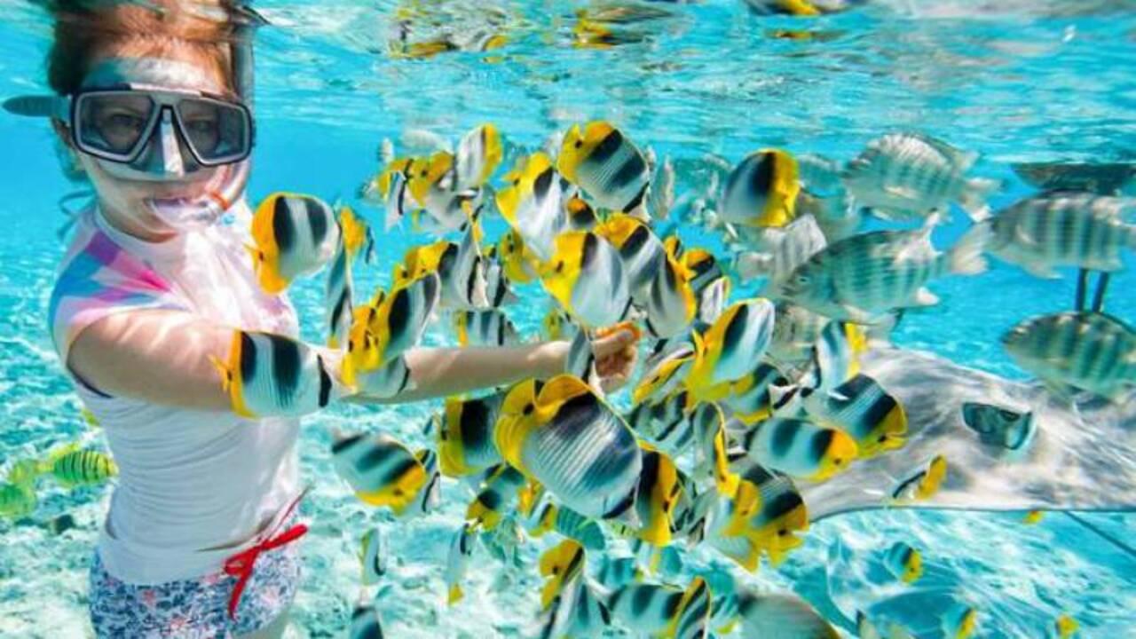 Zanzibar Marine Wonders & The Rock Restaurant Tour
