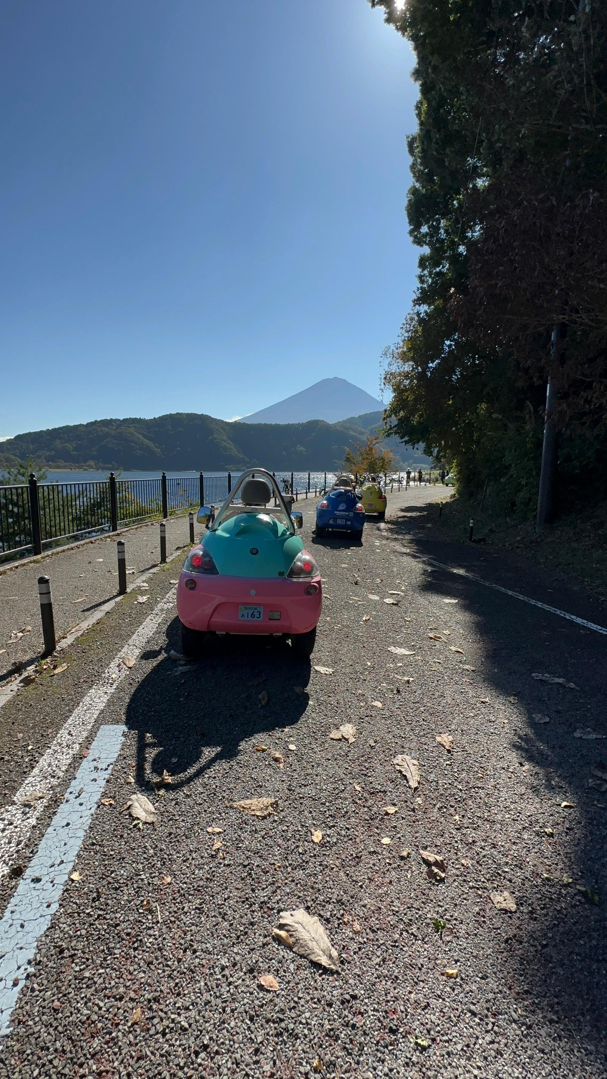 Lake Kawaguchiko Electric Mini Car Guided Tour