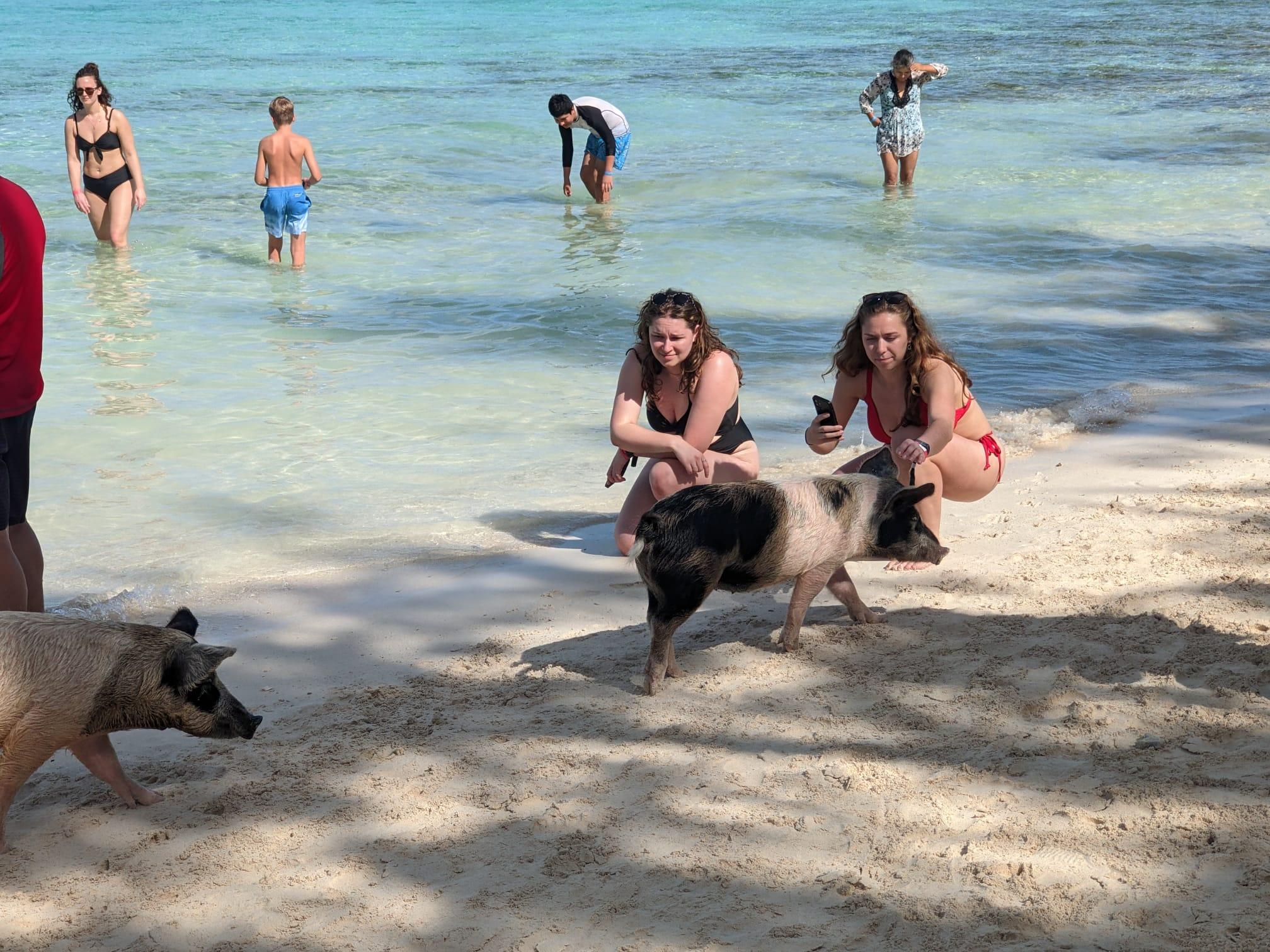 Nassau Catamaran Adventure: Swimming Pigs, Turtles & Snorkeling