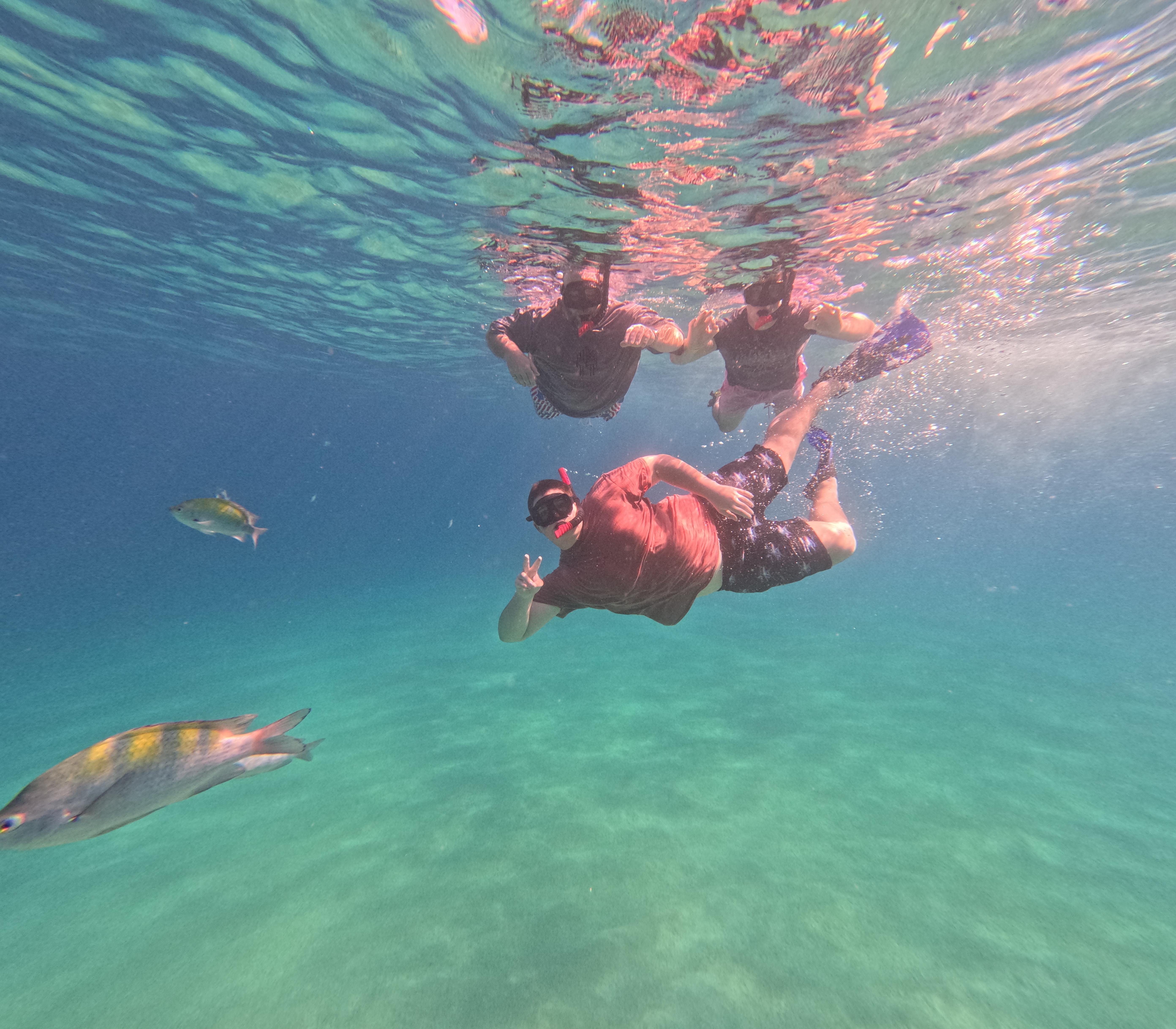 Los Cabos Land's End Boat Tour & Snorkeling Adventure