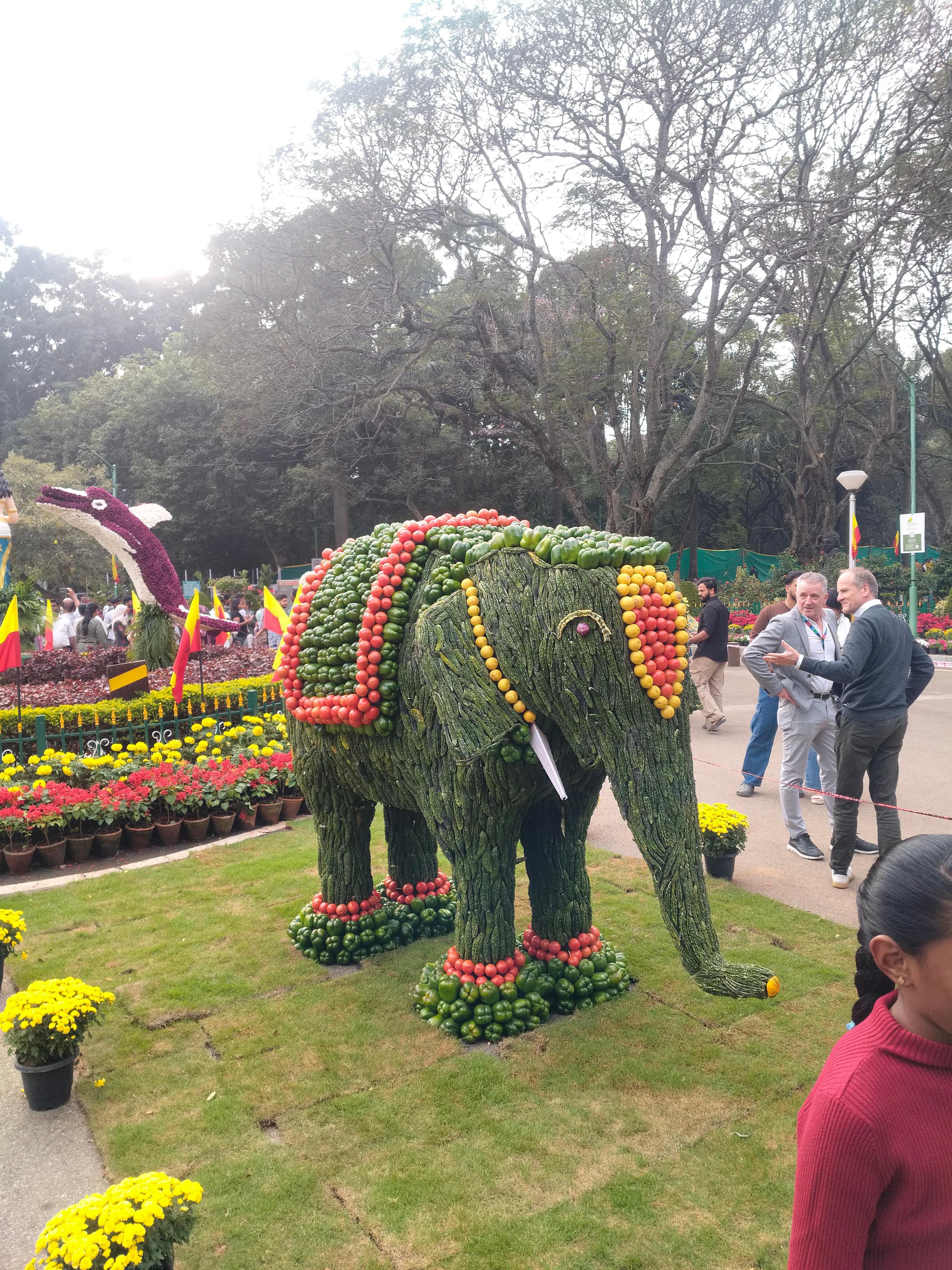 Cubbon Park Heritage and Nature Walking Tour