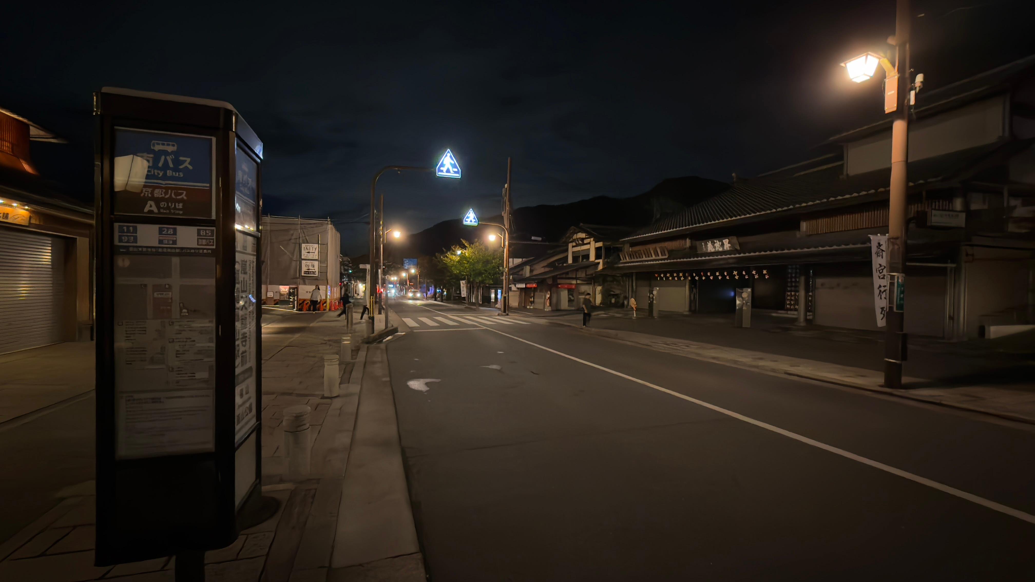Kyoto experience — temples, geisha, bamboo grove — image 6