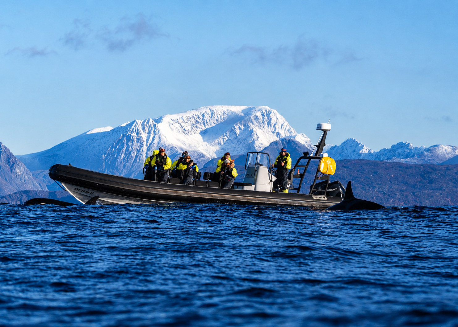 Skjervøy RIB Boat Whale Watching Tour from Tromsø