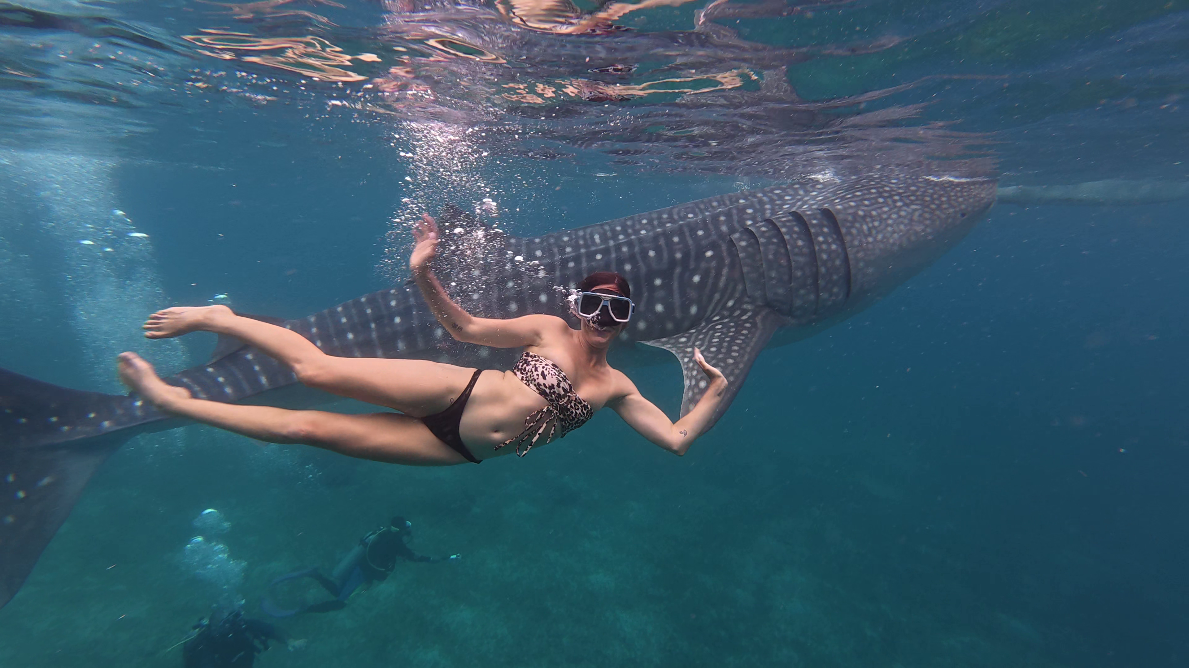 Cebu Triple Adventure: Whale Sharks, Sardine Run & Inambakan Falls
