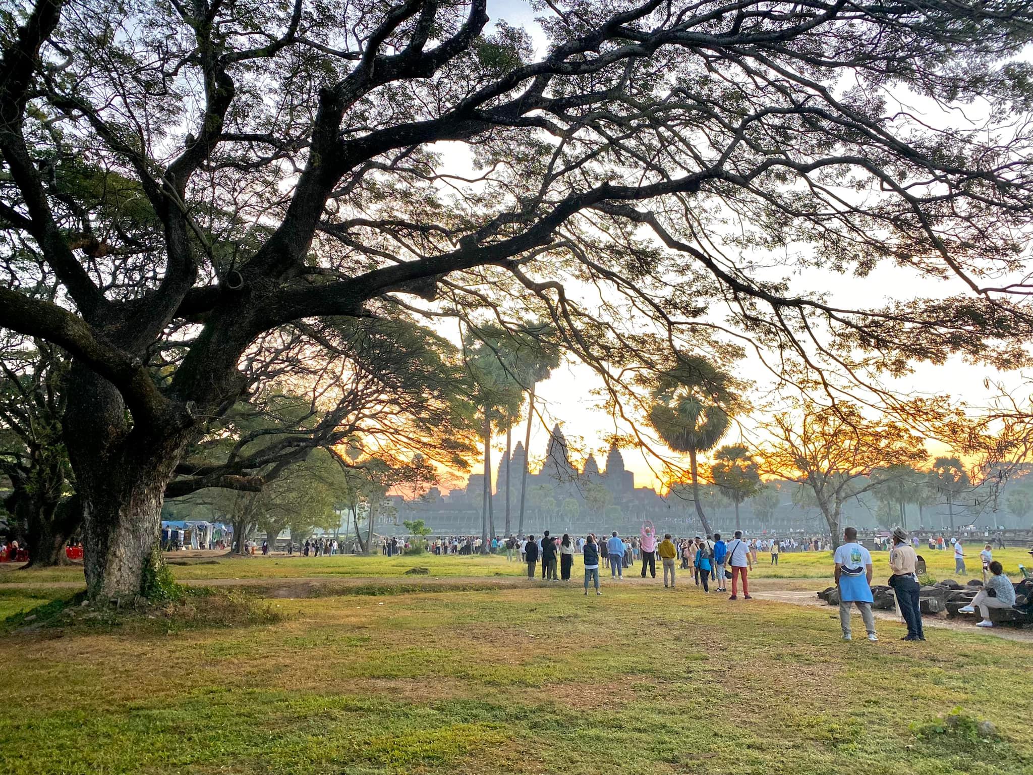 Angkor Wat Private Temple Discovery Tour