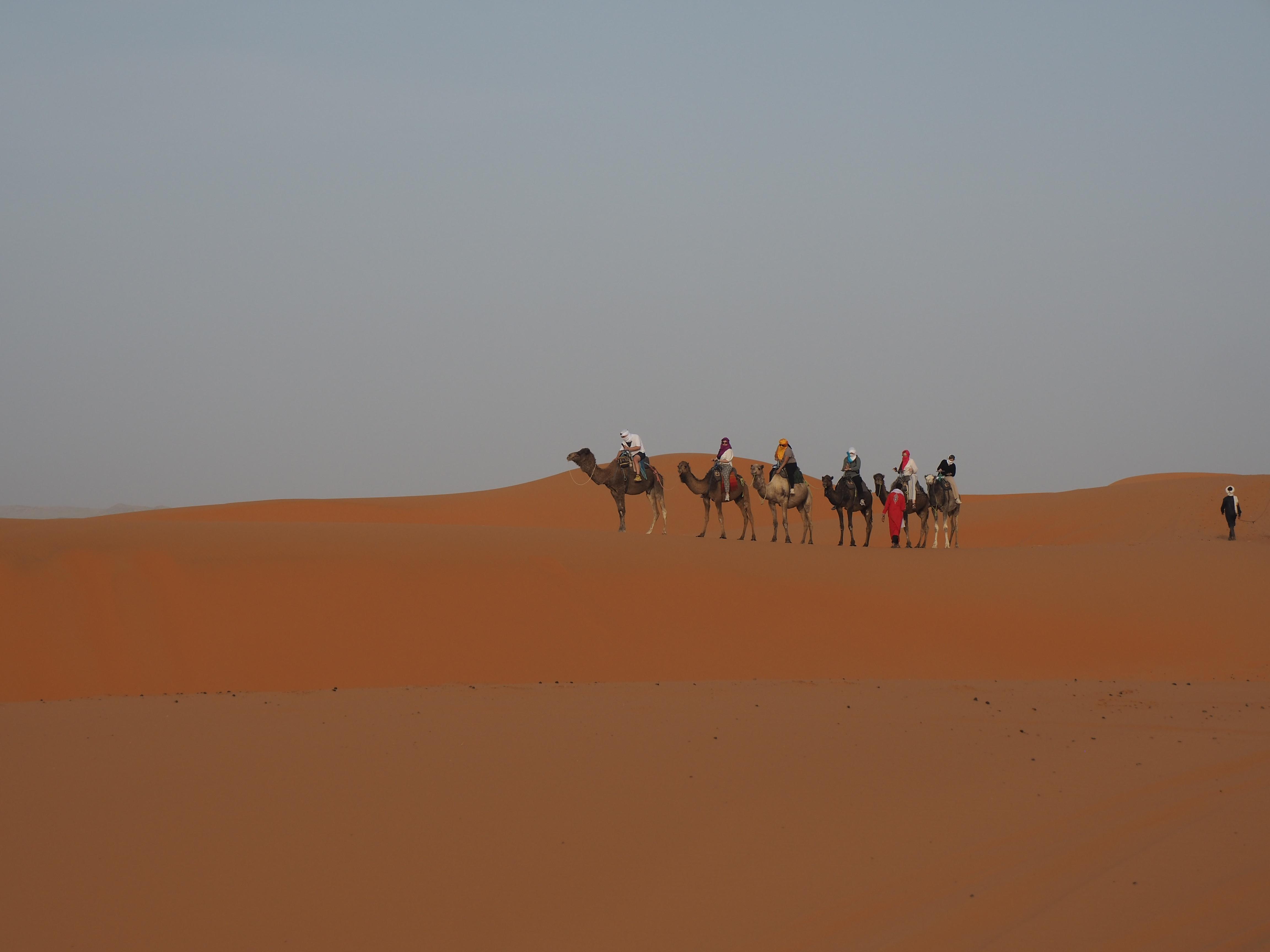 3-Day Sahara Desert Adventure: Marrakech to Fes via Merzouga