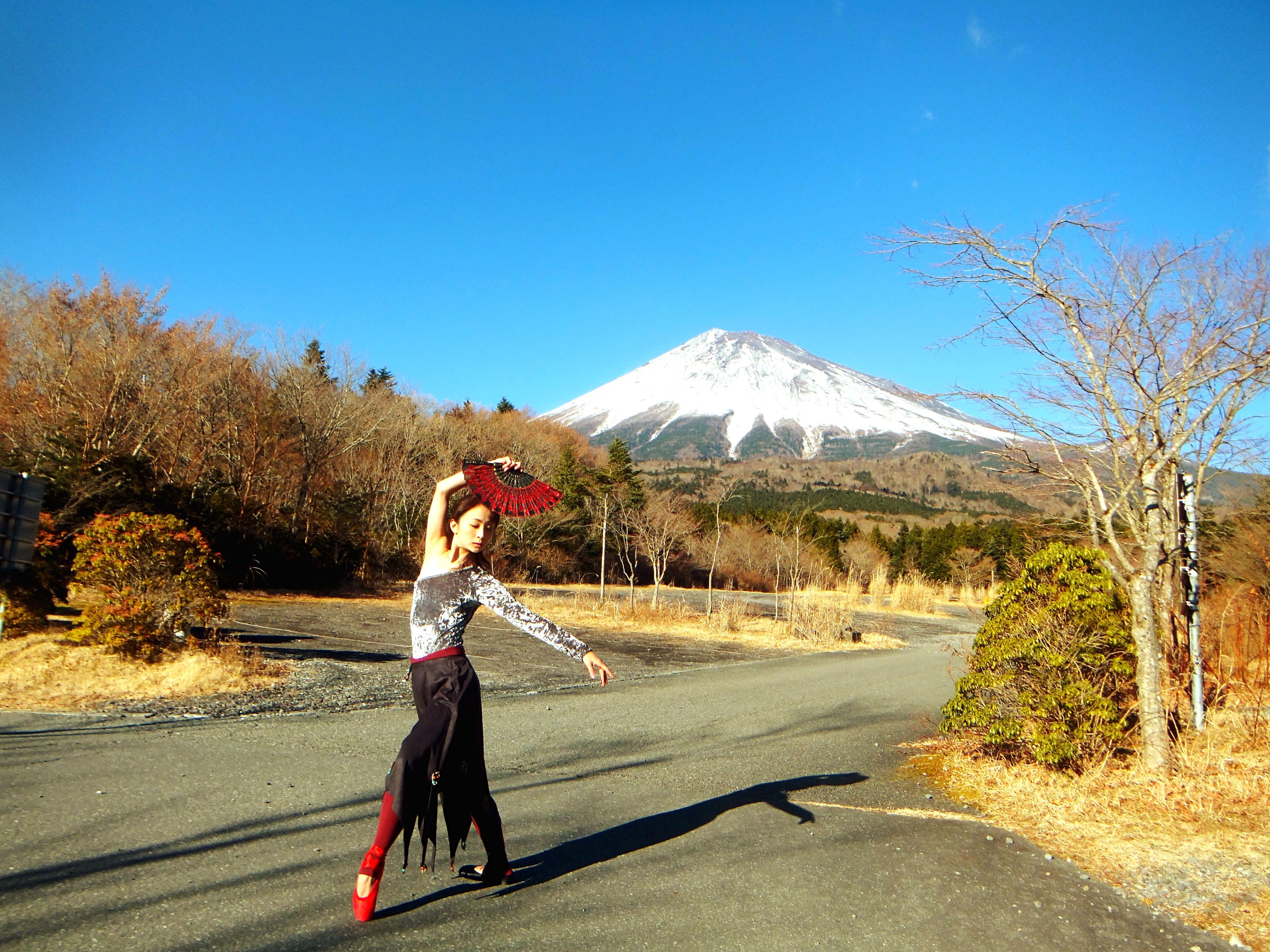 Private Mount Fuji & Hakone Day Tour from Tokyo