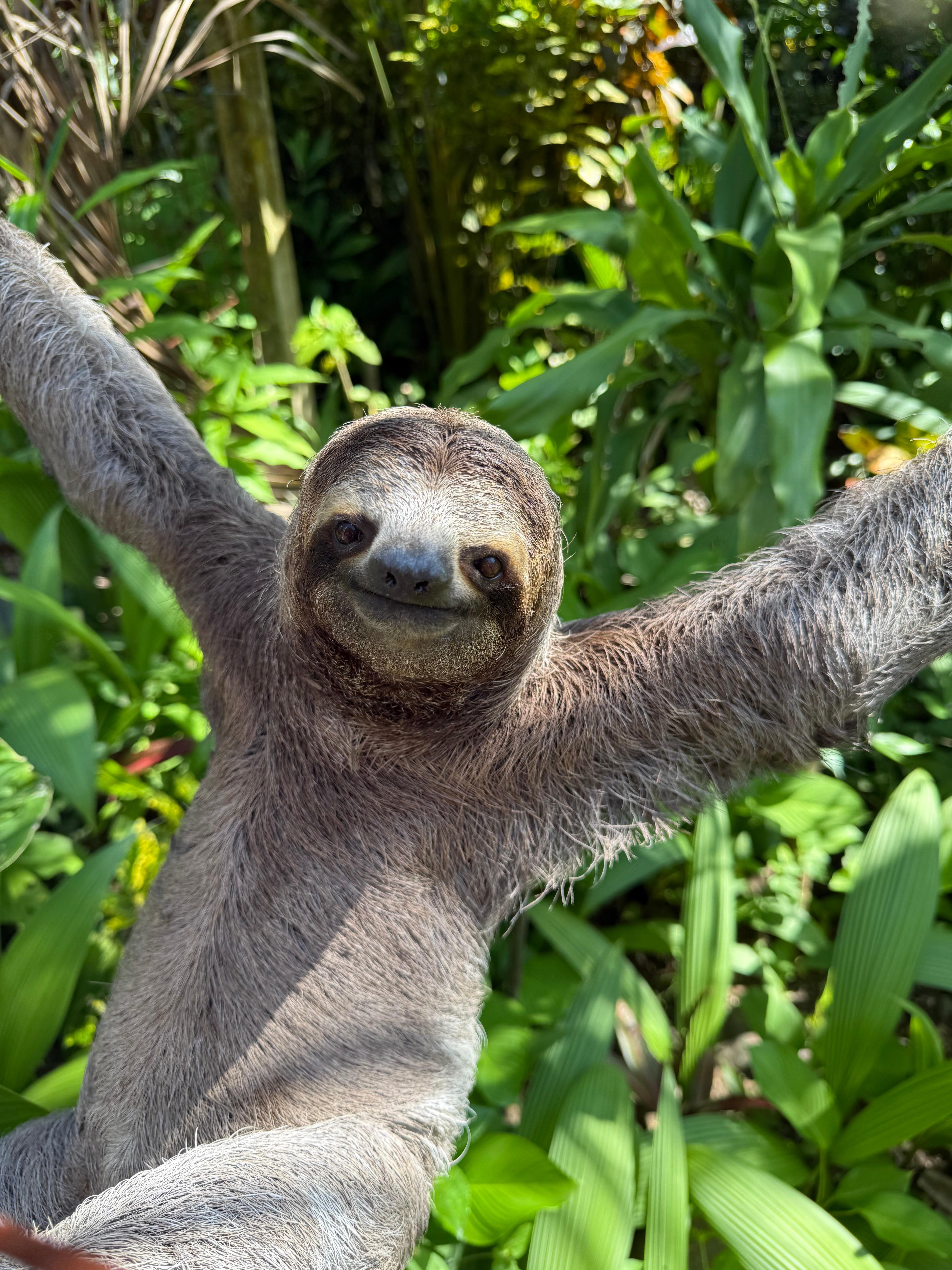 Manuel Antonio National Park: Wildlife Guided Tour with Entrance Fee
