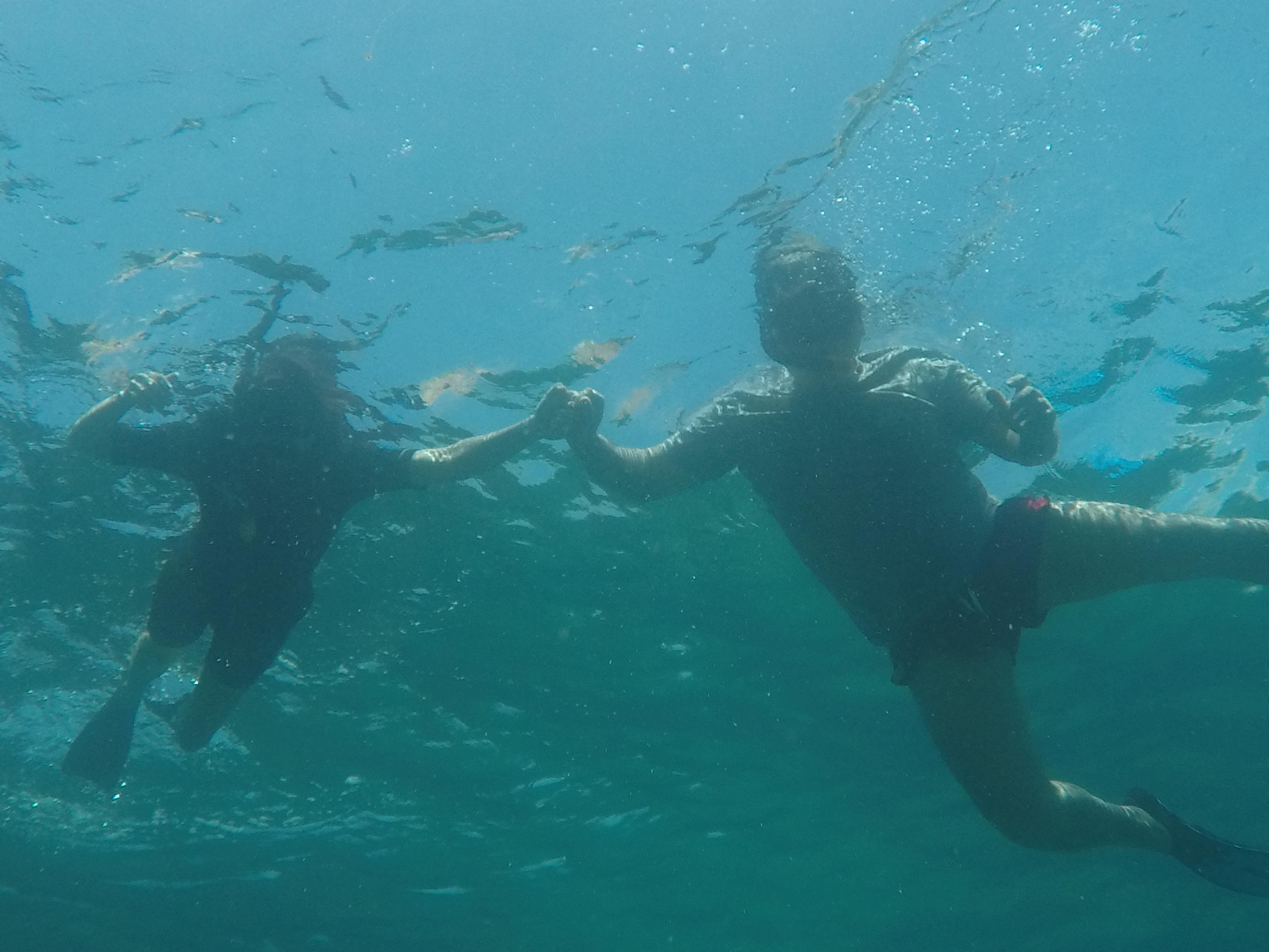 Santa Fe Island Full-Day Galapagos Adventure