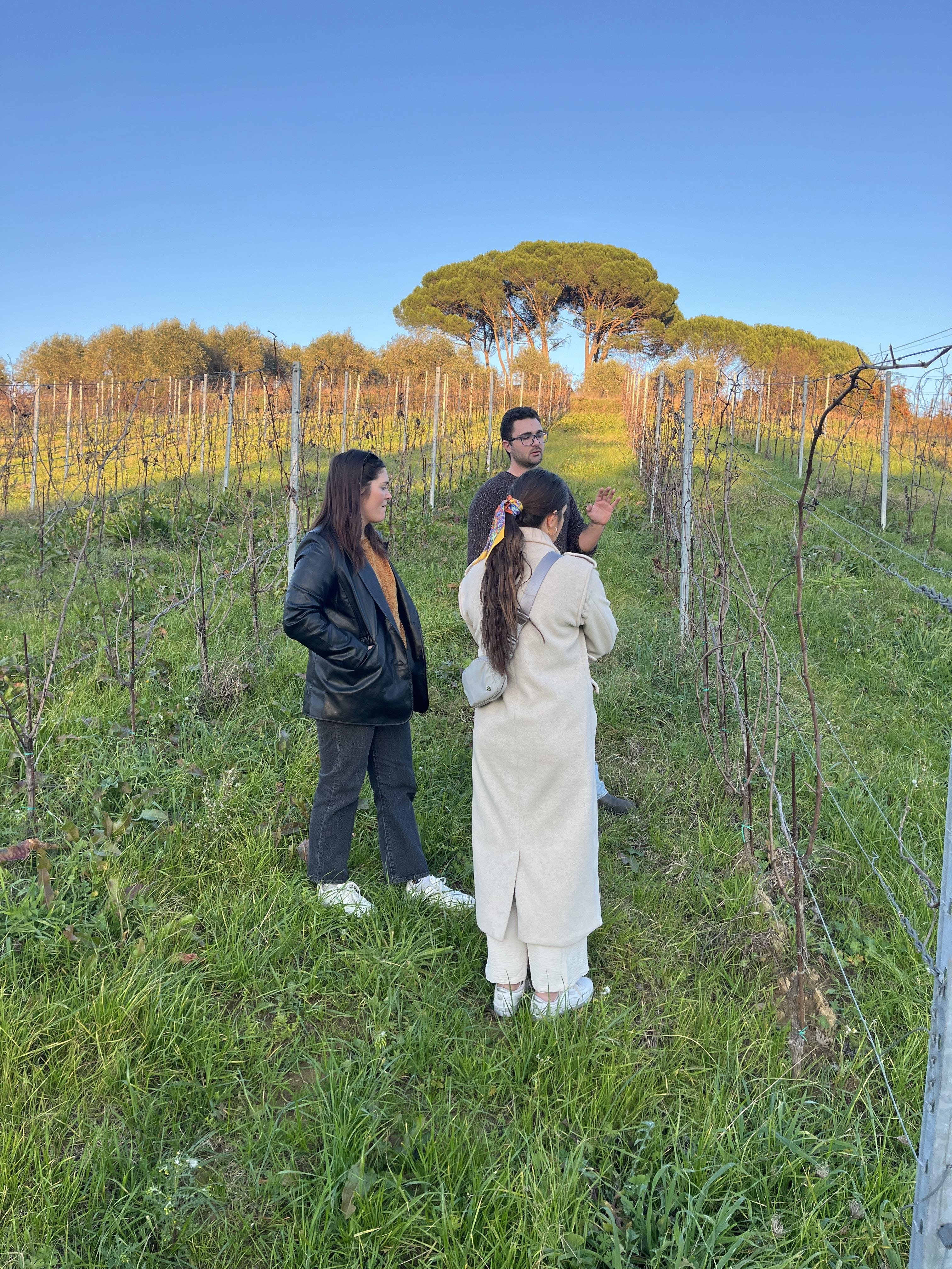 cooking class in Pisa — photo 29