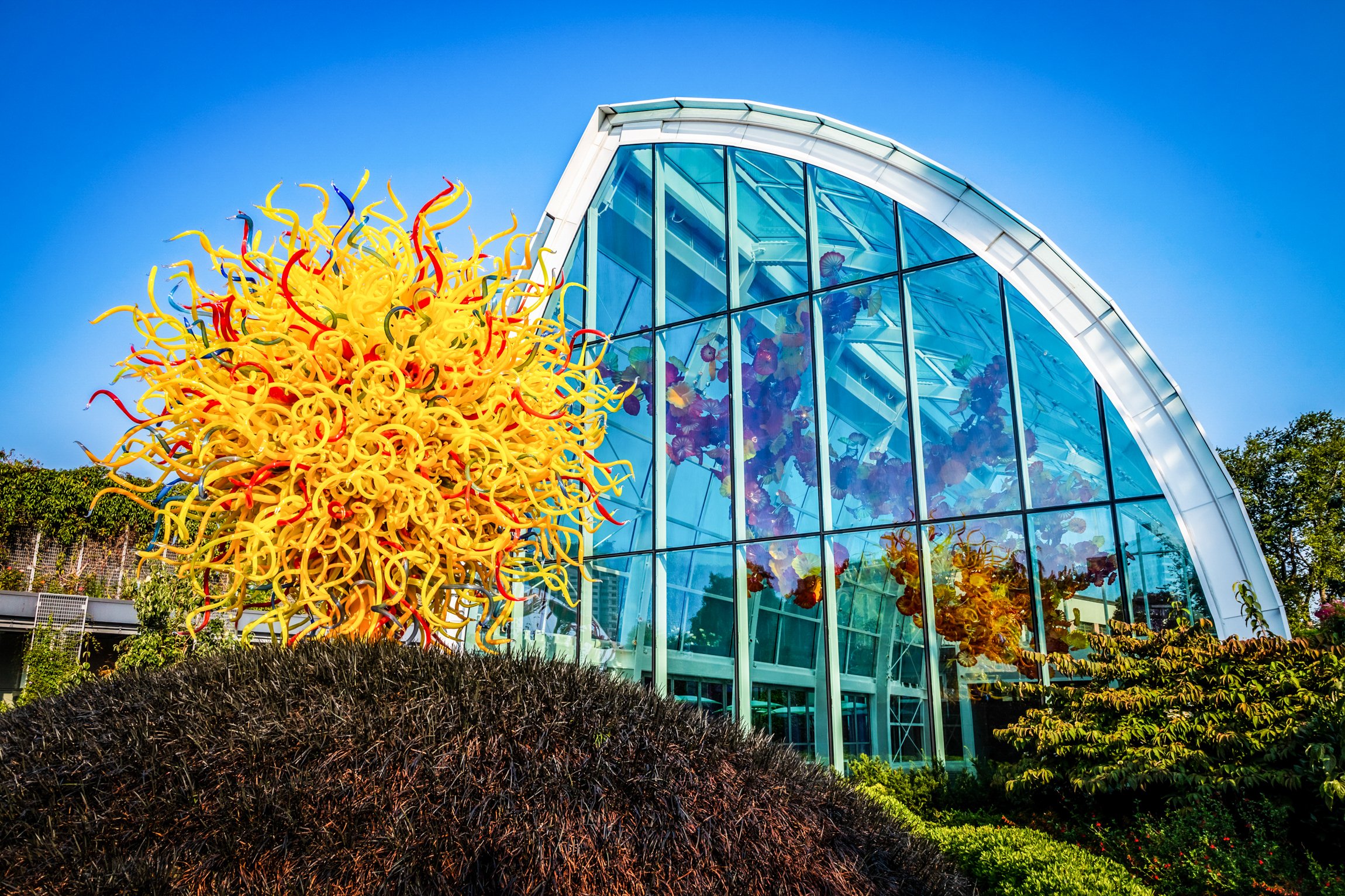 Chihuly Garden and Glass Seattle tickets — image 6
